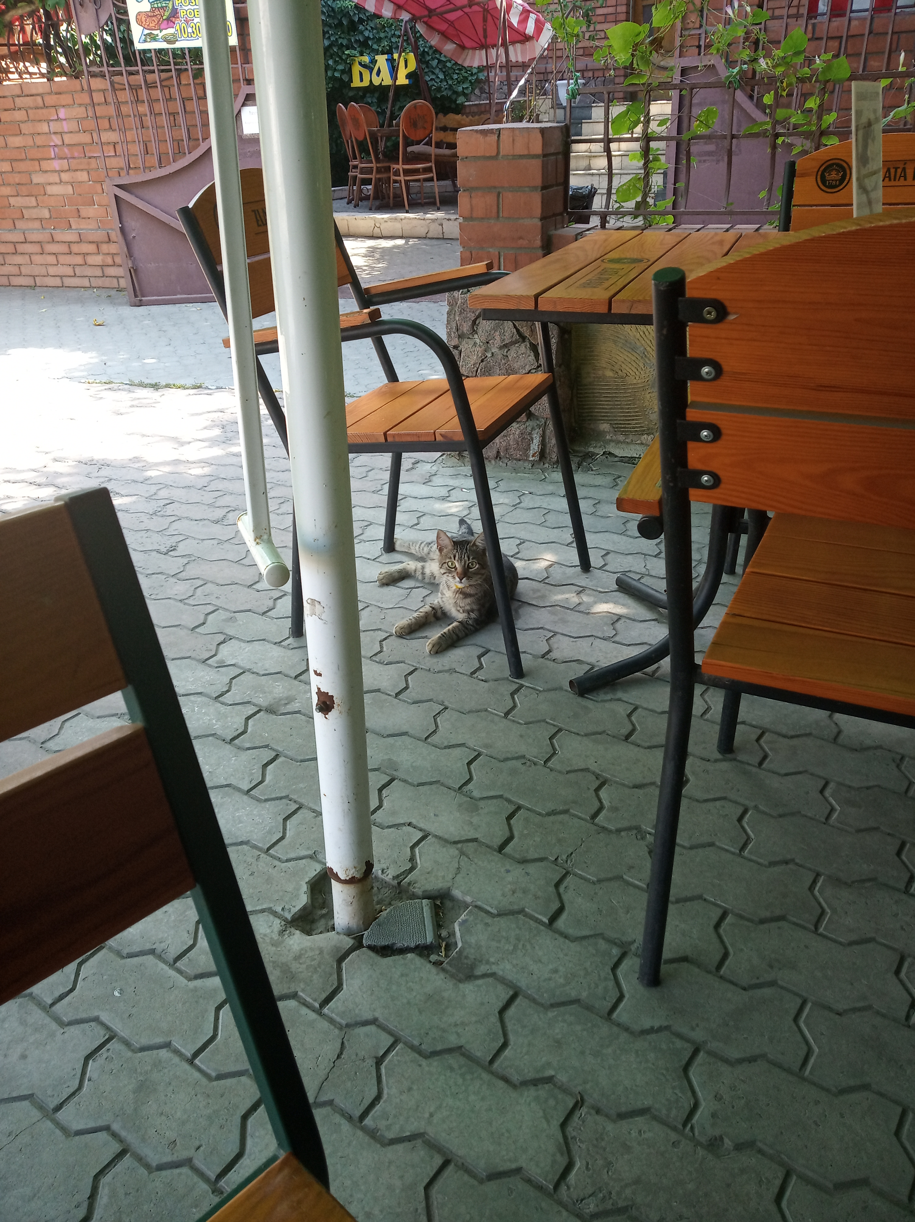 Kozatsʹka Vtikha image 6