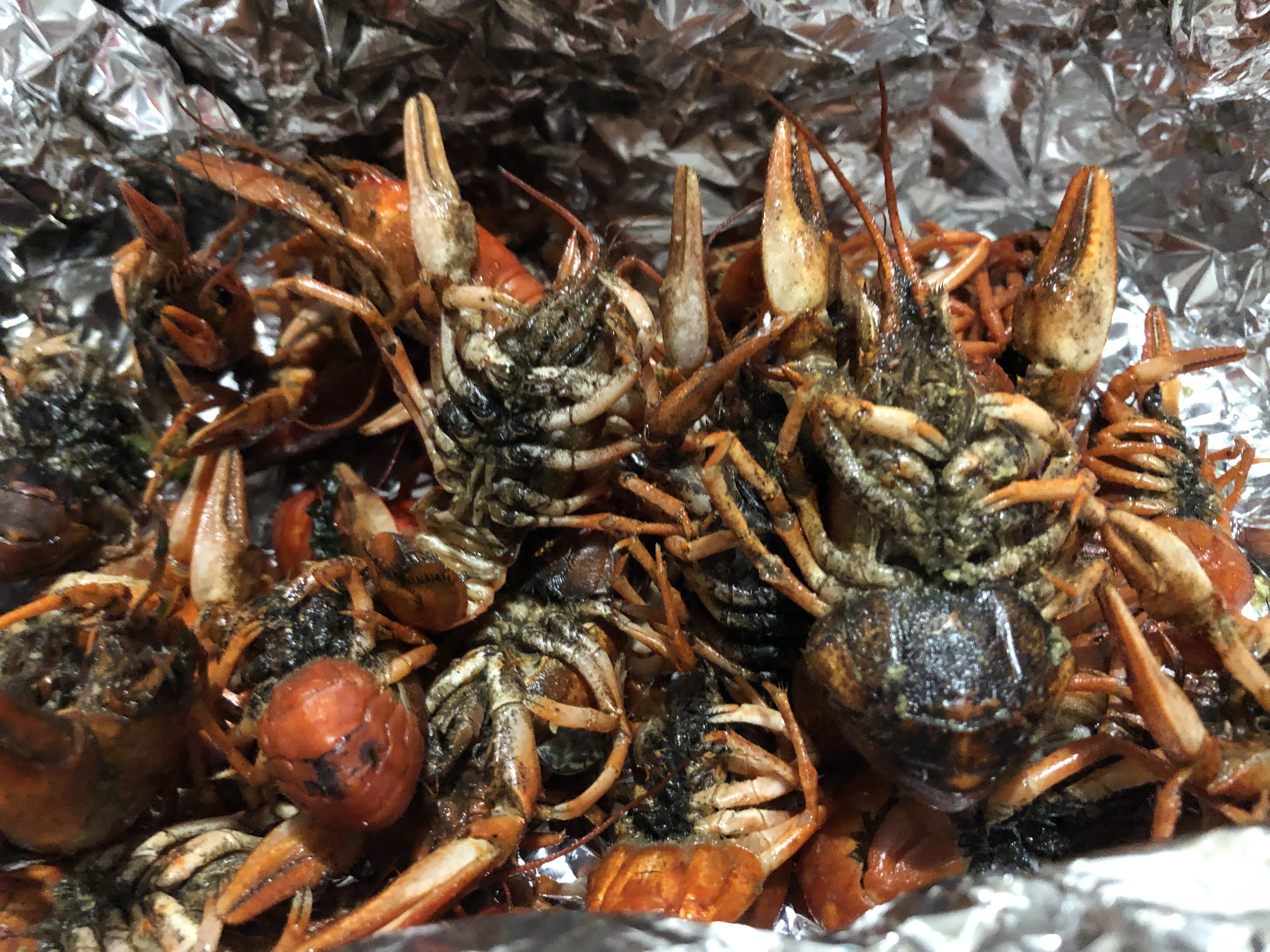 Рub & Aleksandr Sann image 7