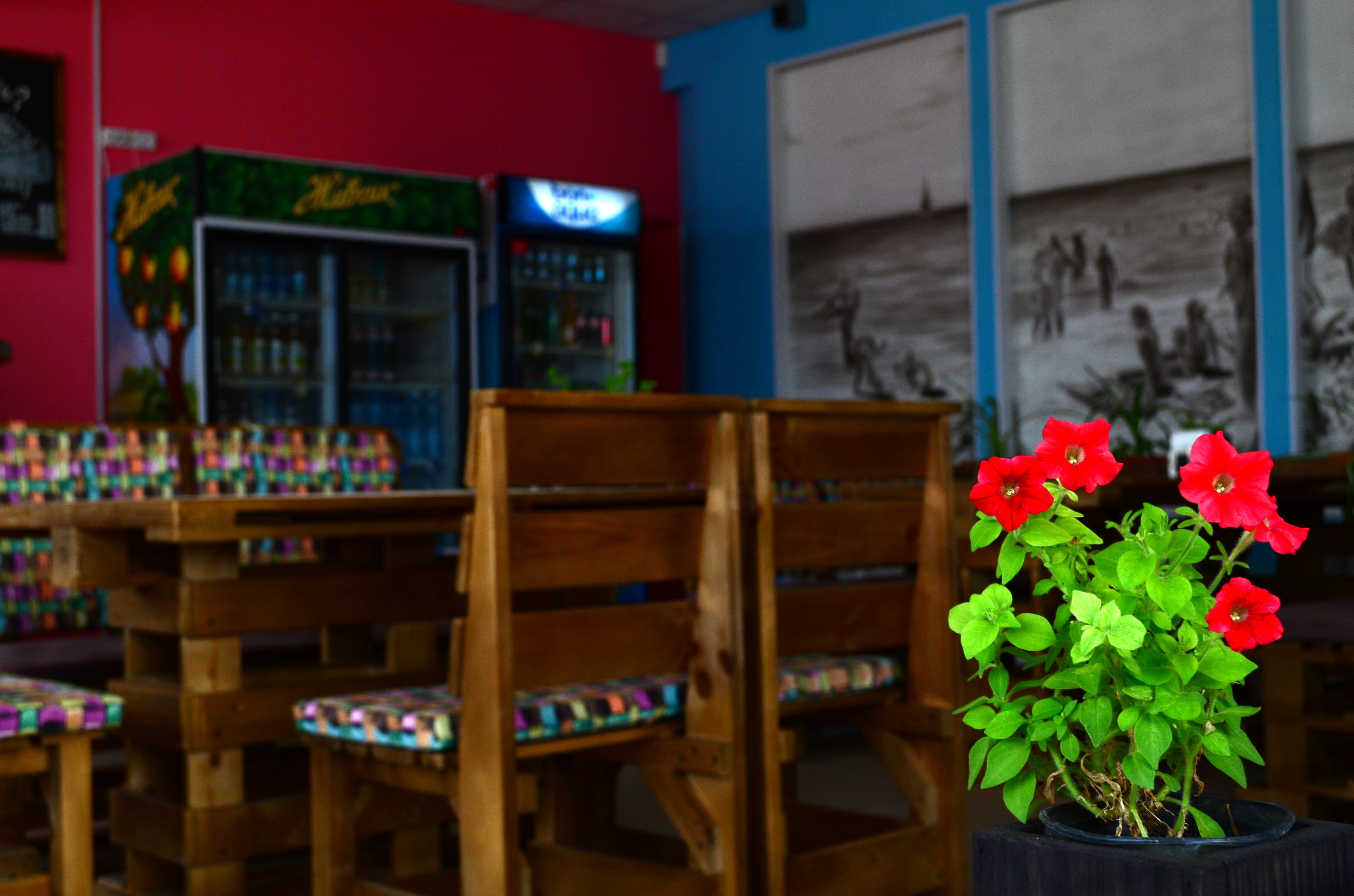 Кафе Навигатор image 10