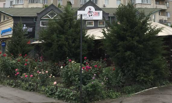 Aleksandr Sann image 3