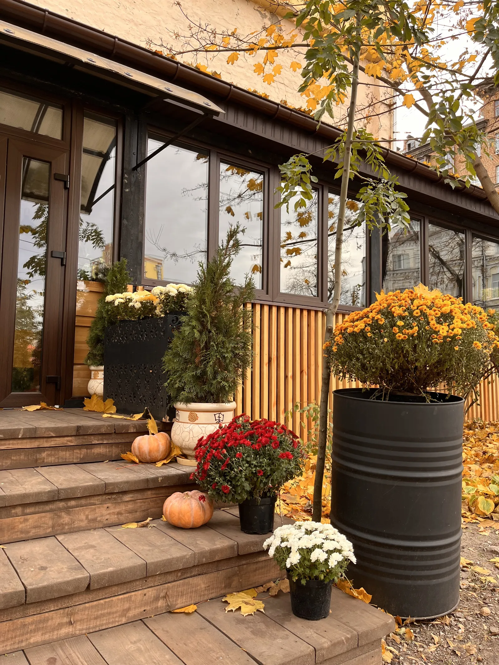 Veranda на Січових image 13