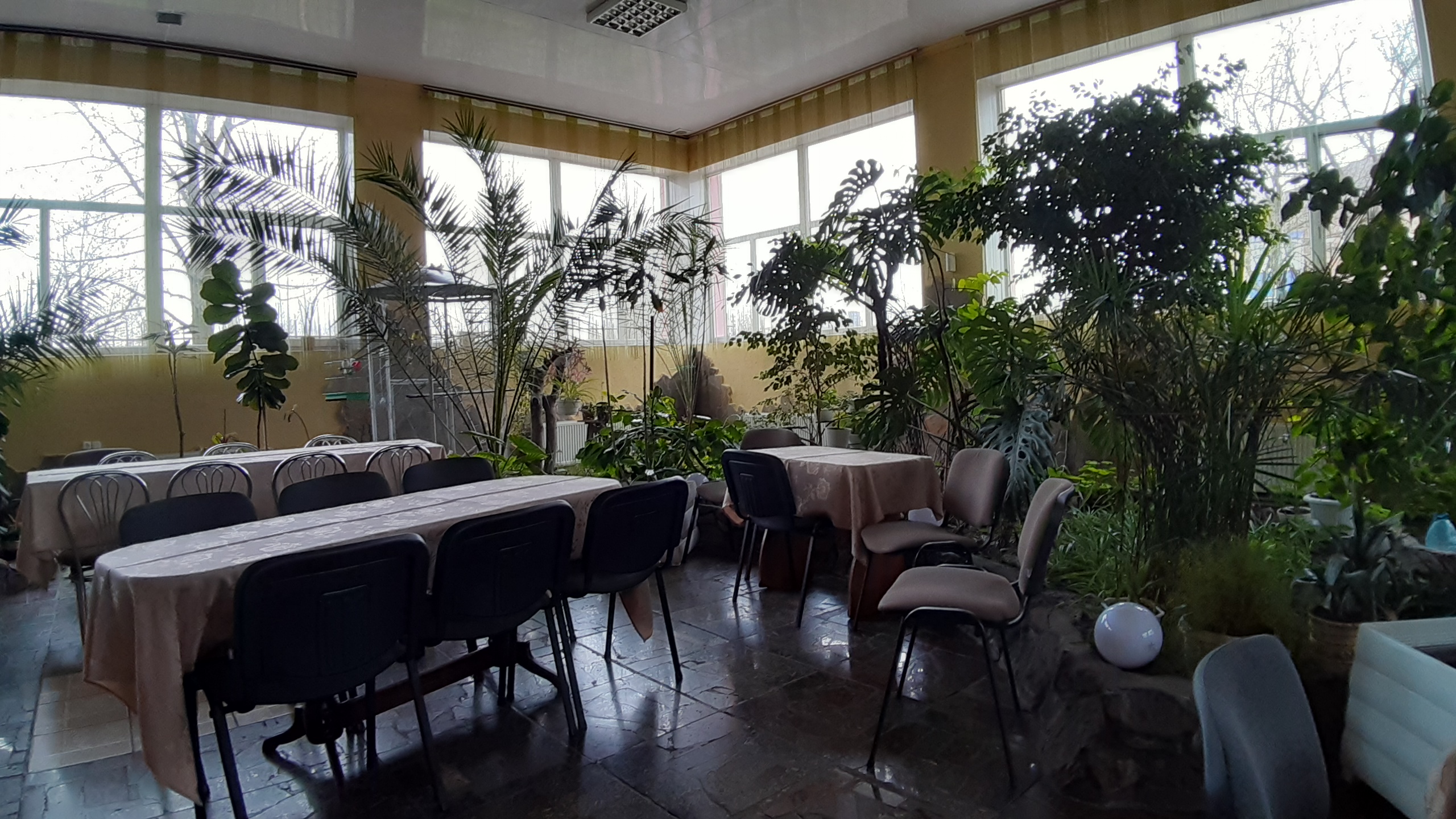 Ресторан "Зимовий Сад" image 1