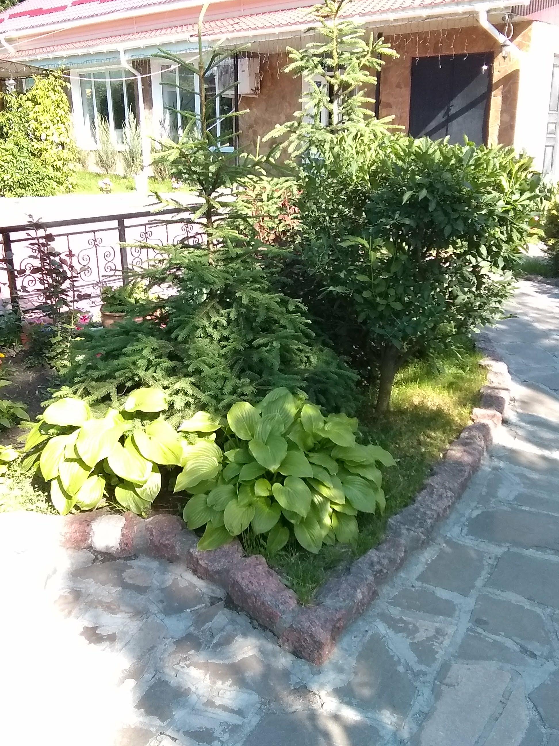 Ресторан "Зимовий Сад" image 10