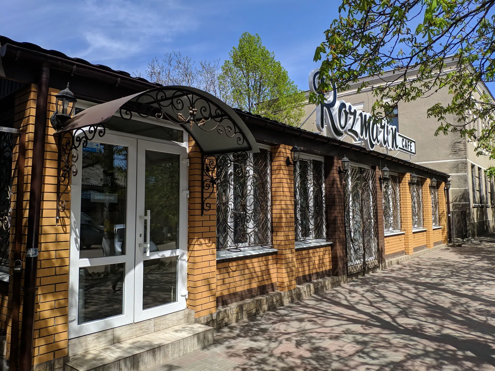 Rozmaryn image 5