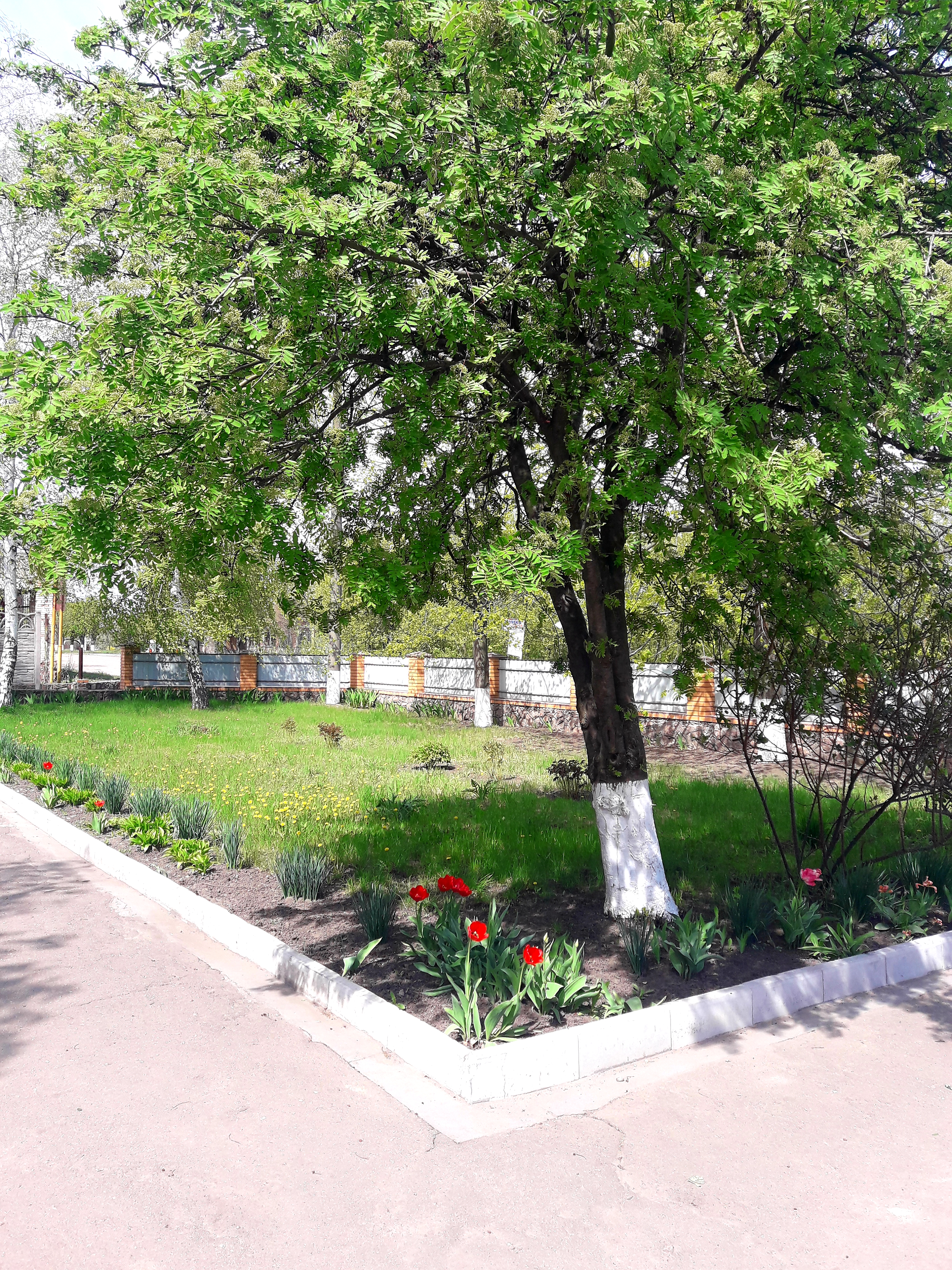 У Петровича image 4