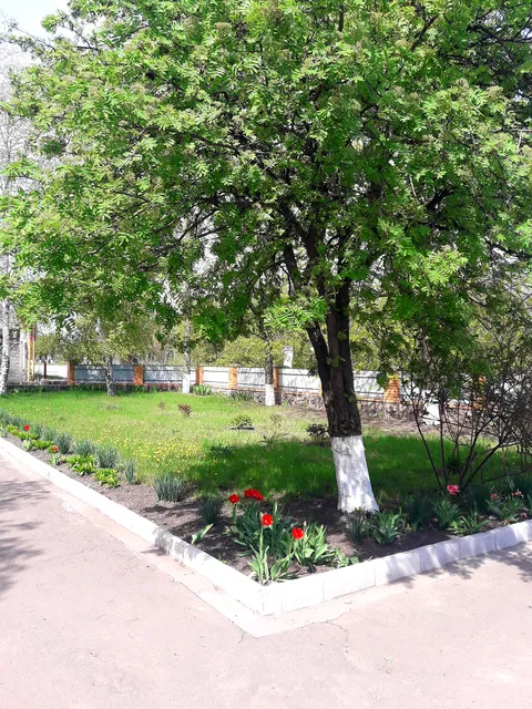 У Петровича image 4