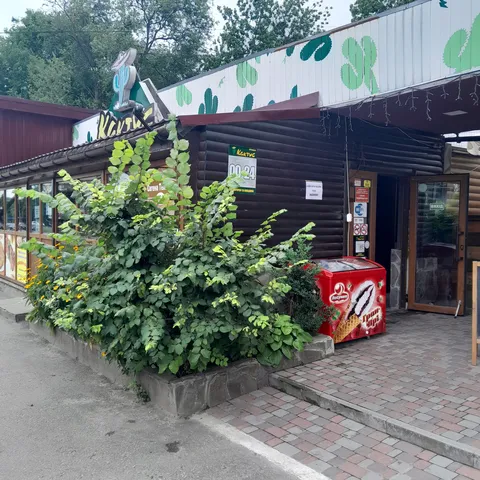 Kaktus image 1