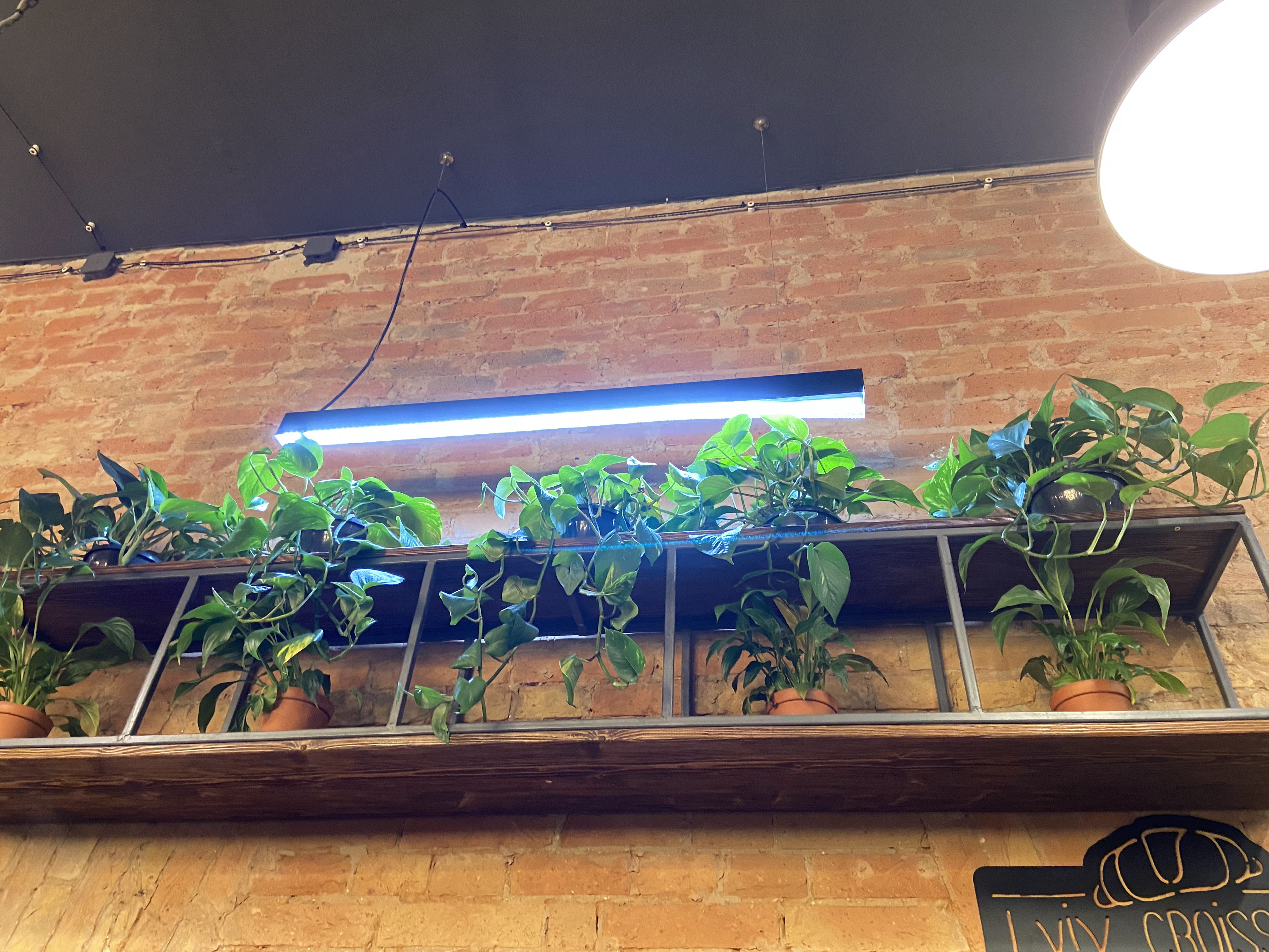 Львівіські круасани image 9