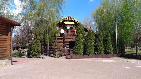 Okolytsya image 3