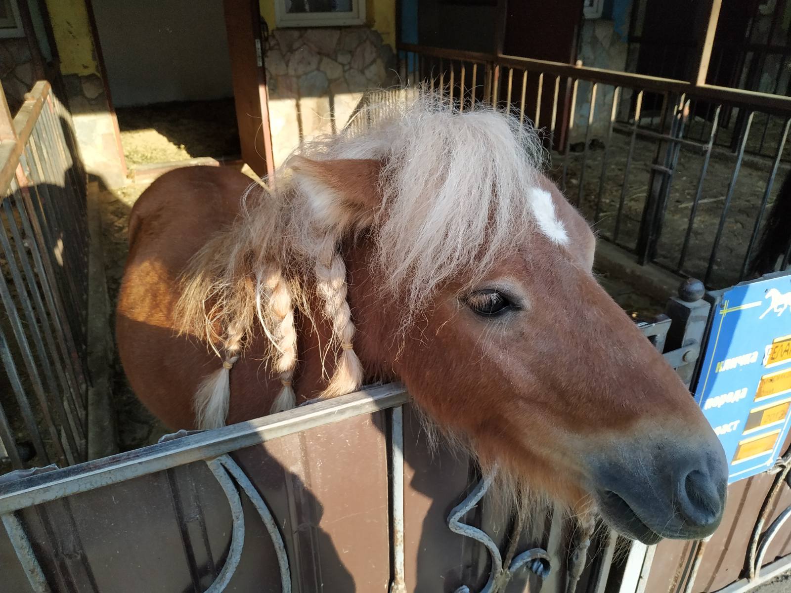 El Rancho Sofia image 5