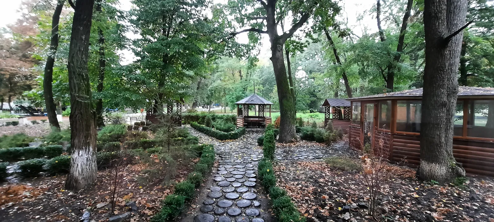 Olimp image 5