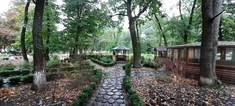 Olimp image 5
