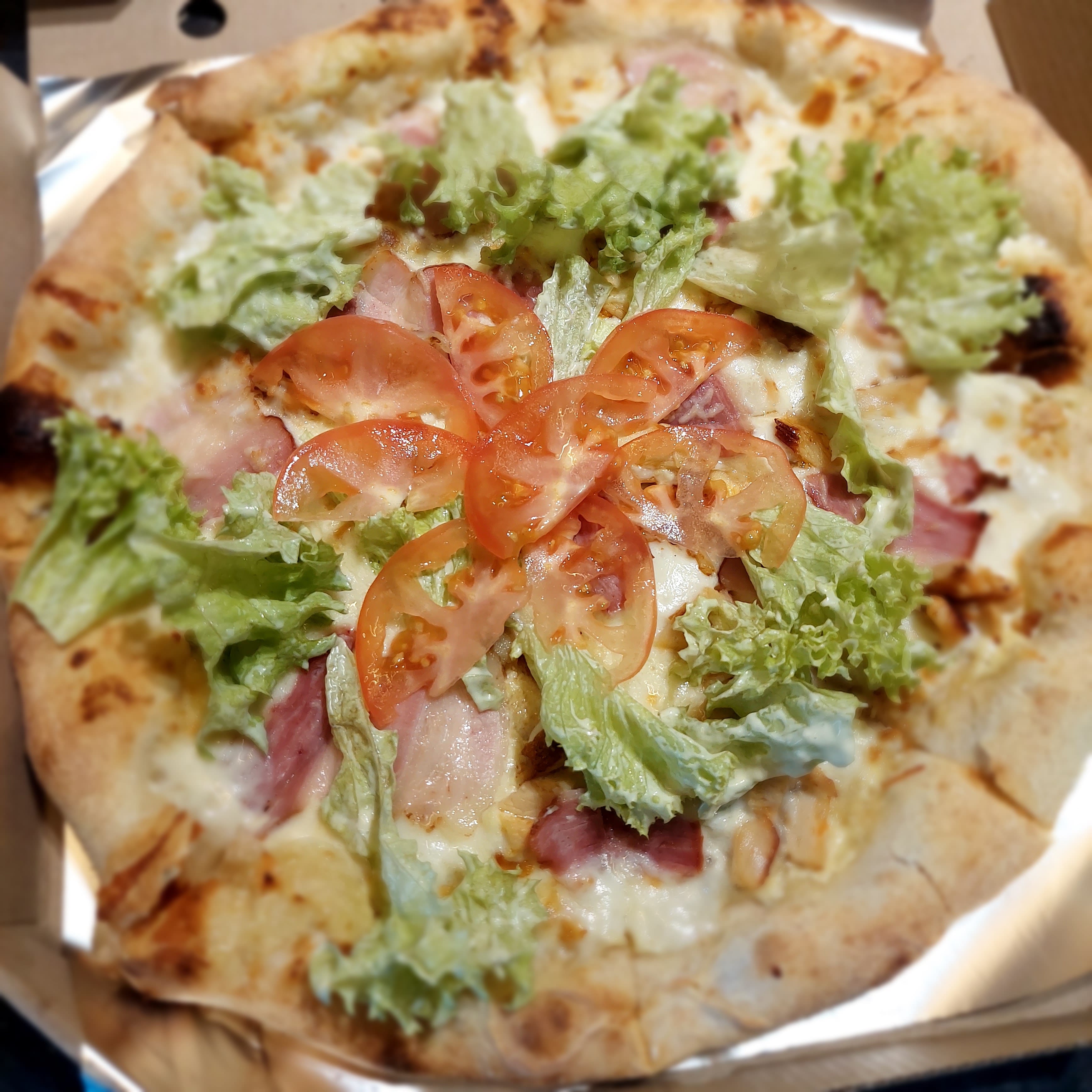 Pan Shaurman image 4