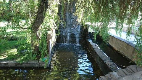 Kafe Obriy image 4