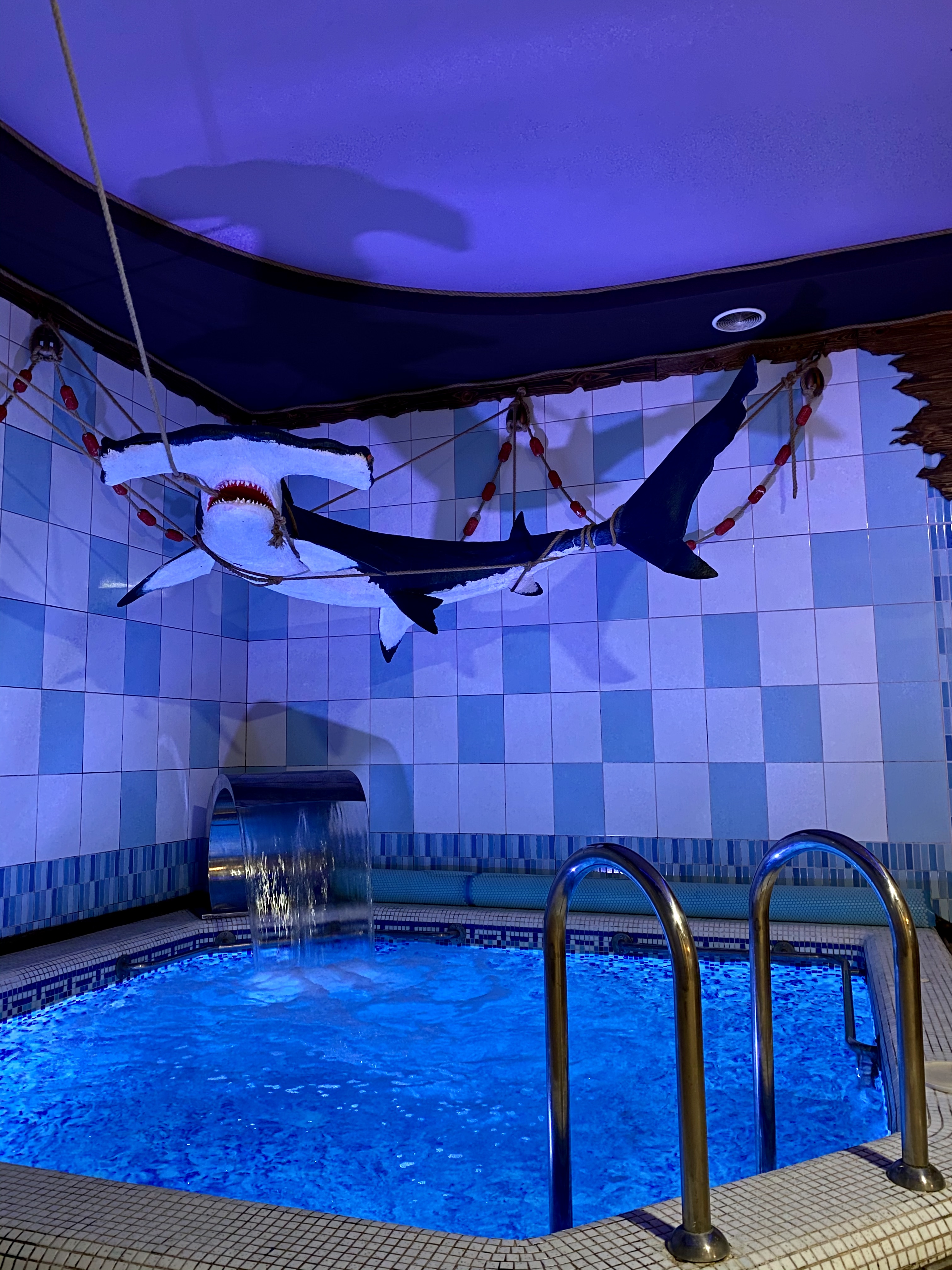 Tsarsʹke Selo image 4