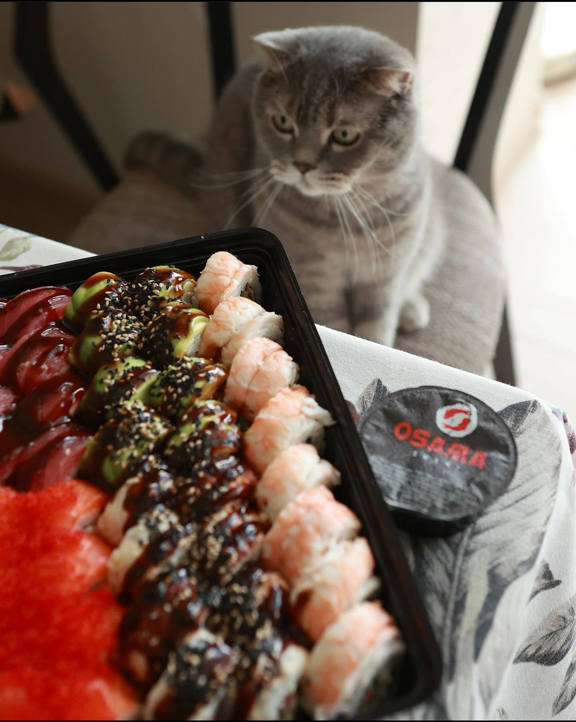 Osama sushi image 10