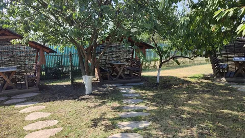 Ukrayinsʹkyy Dvoryk image 4