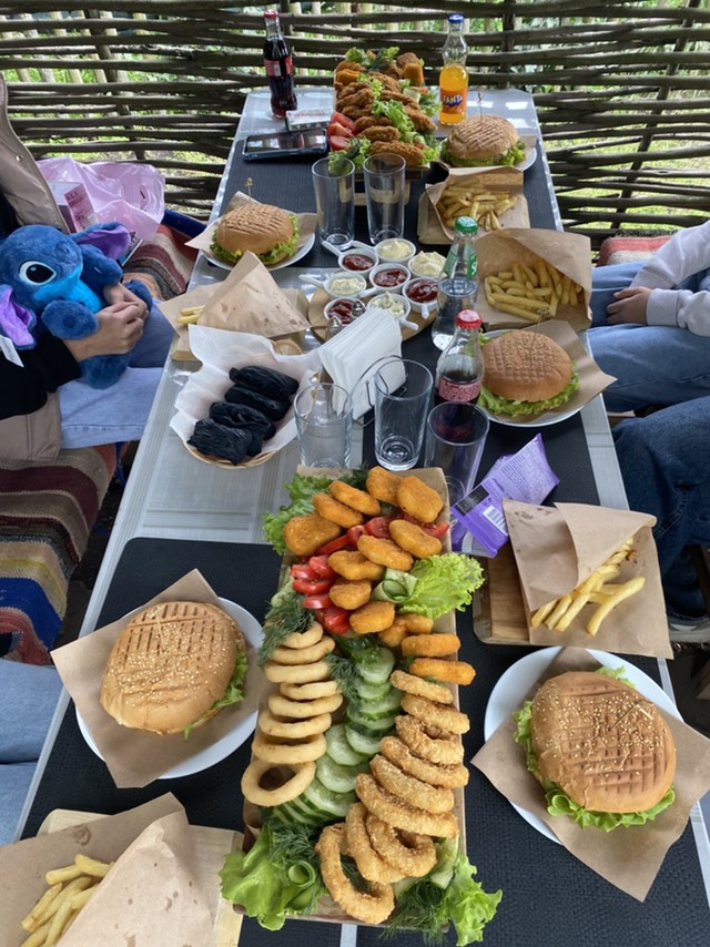 Ukrayinsʹkyy Dvoryk image 10