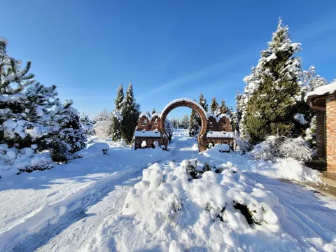 Ресторан Les. Ресторан Лес. image 7