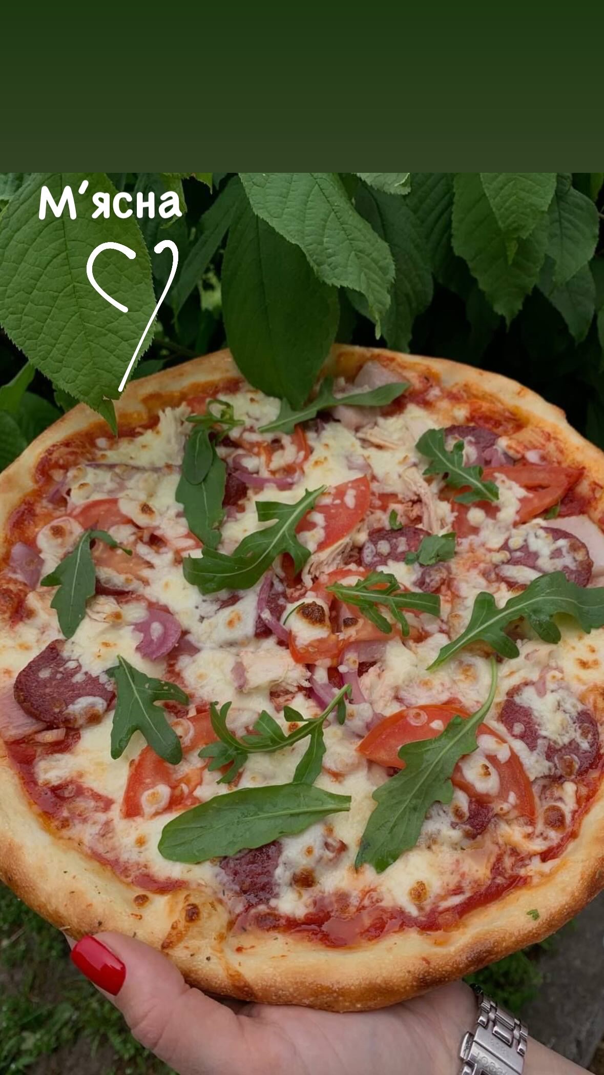 Parmesan 31/12 image 5