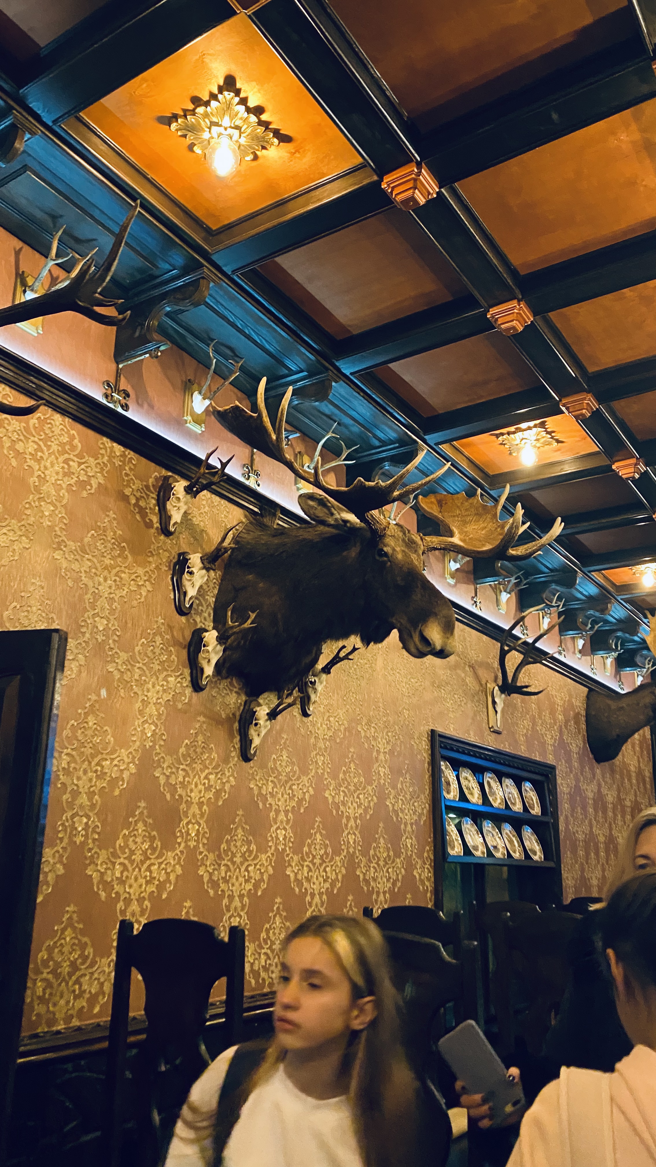 Кам’янські вечори image 2