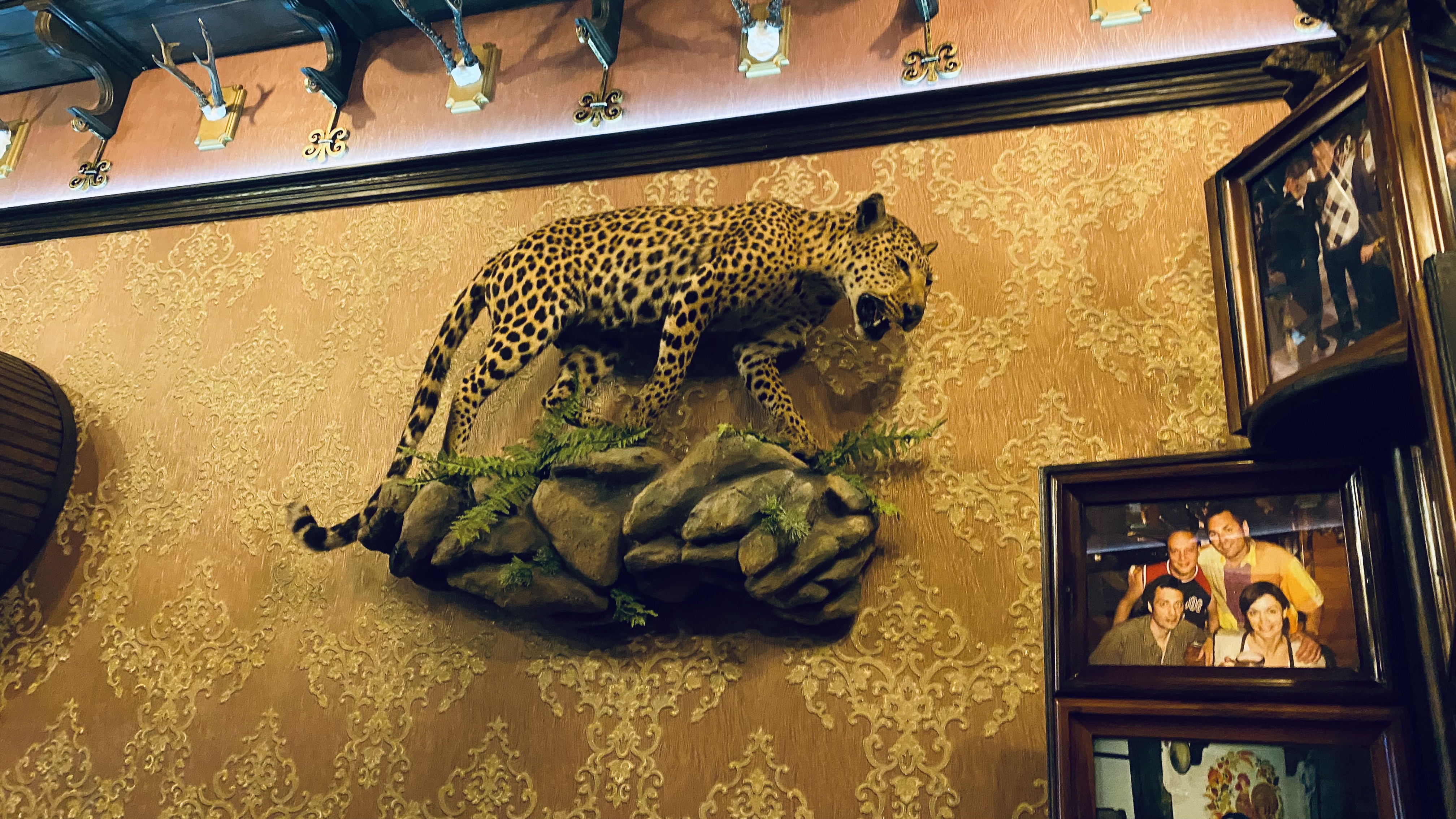 Кам’янські вечори image 3