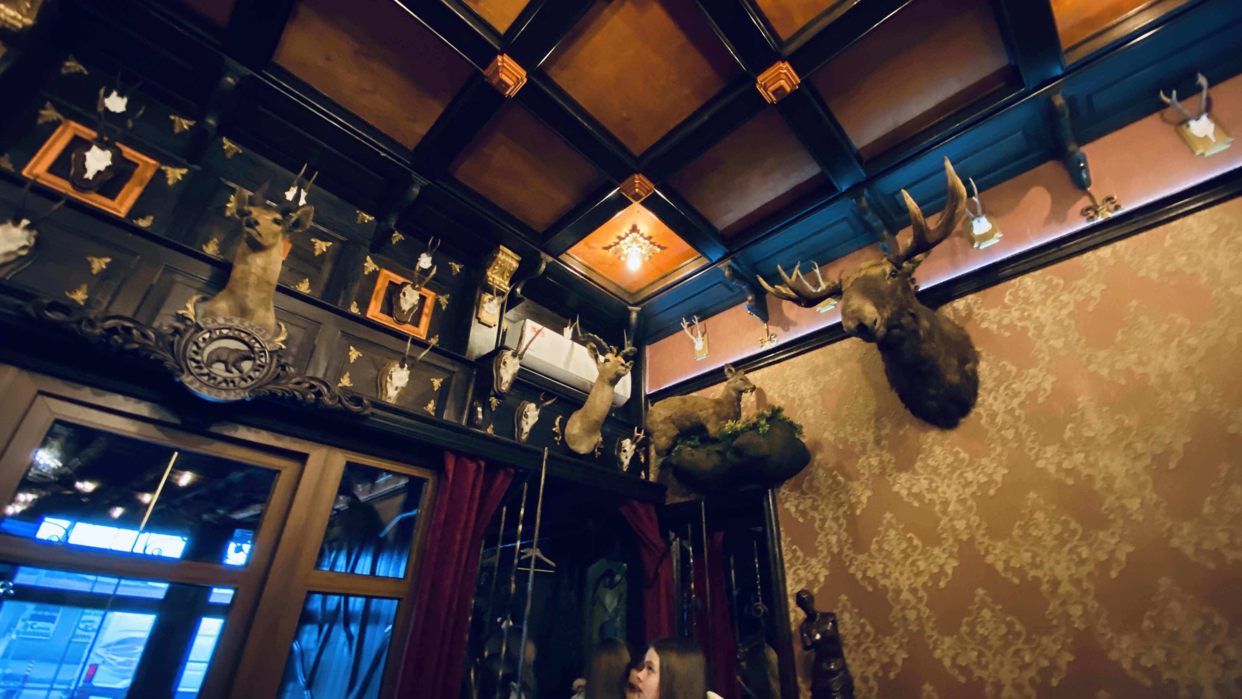 Кам’янські вечори image 4