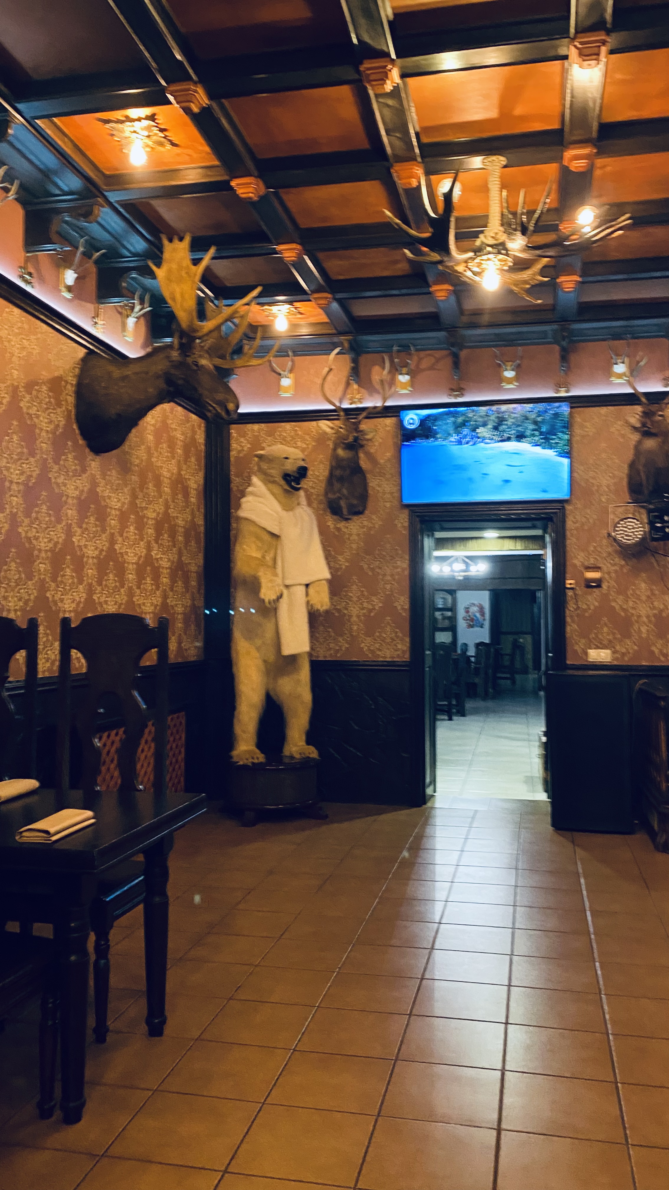 Кам’янські вечори image 5