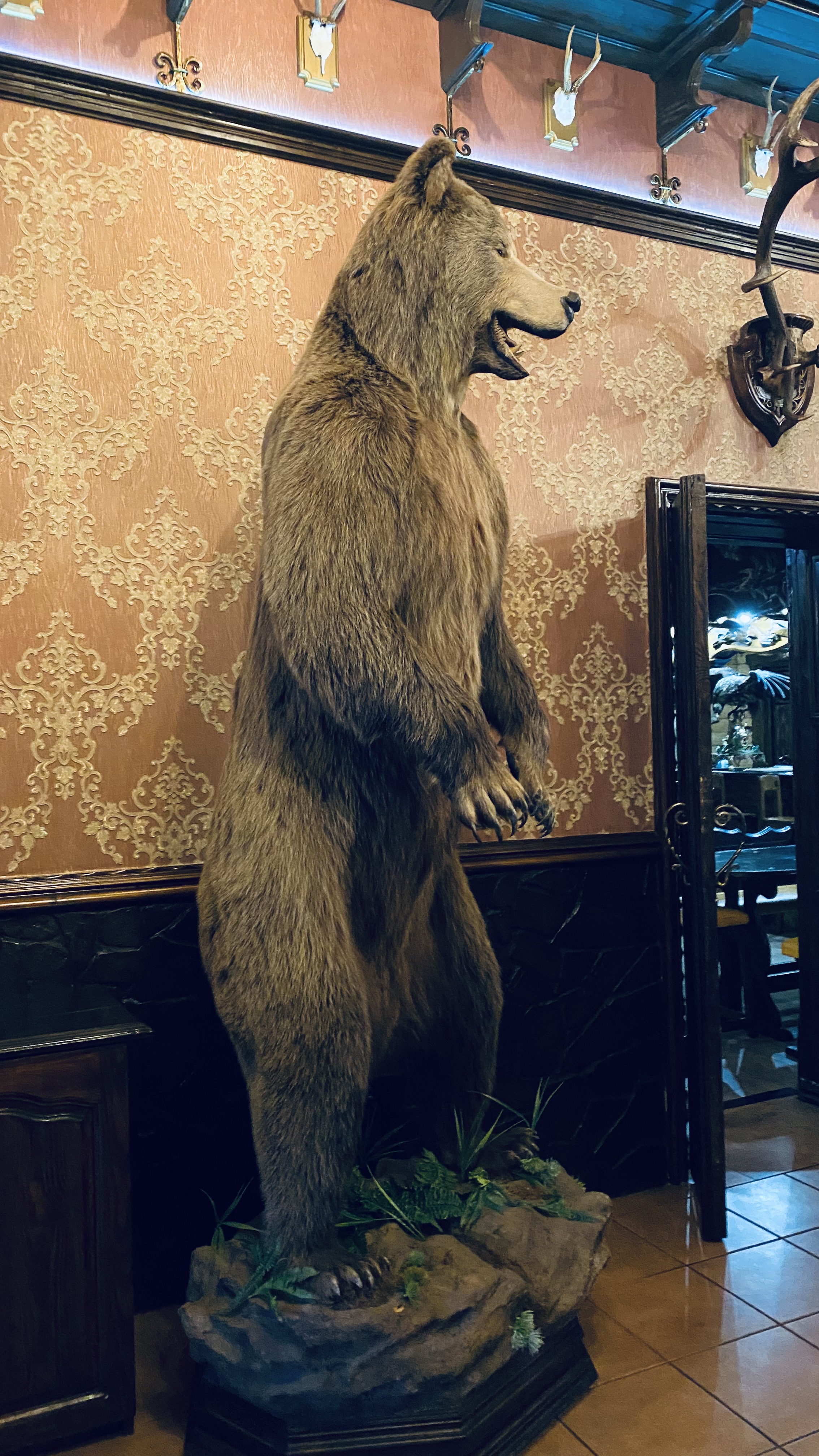 Кам’янські вечори image 6