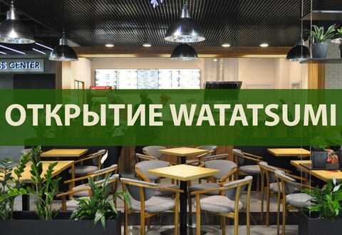 Watatsumi image 1