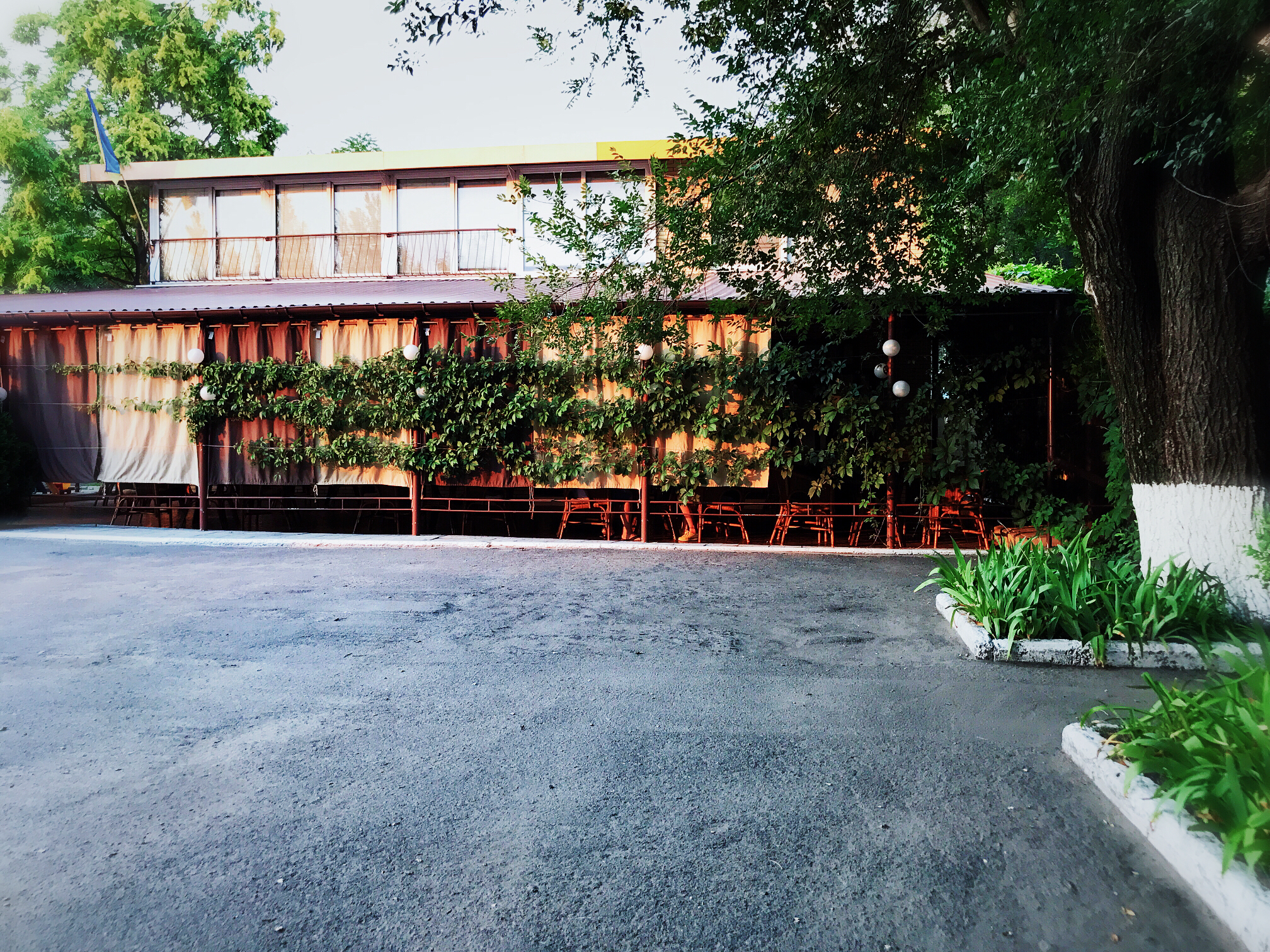 Zolotyy Drakon image 3