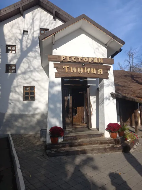 Tynytsia image 4