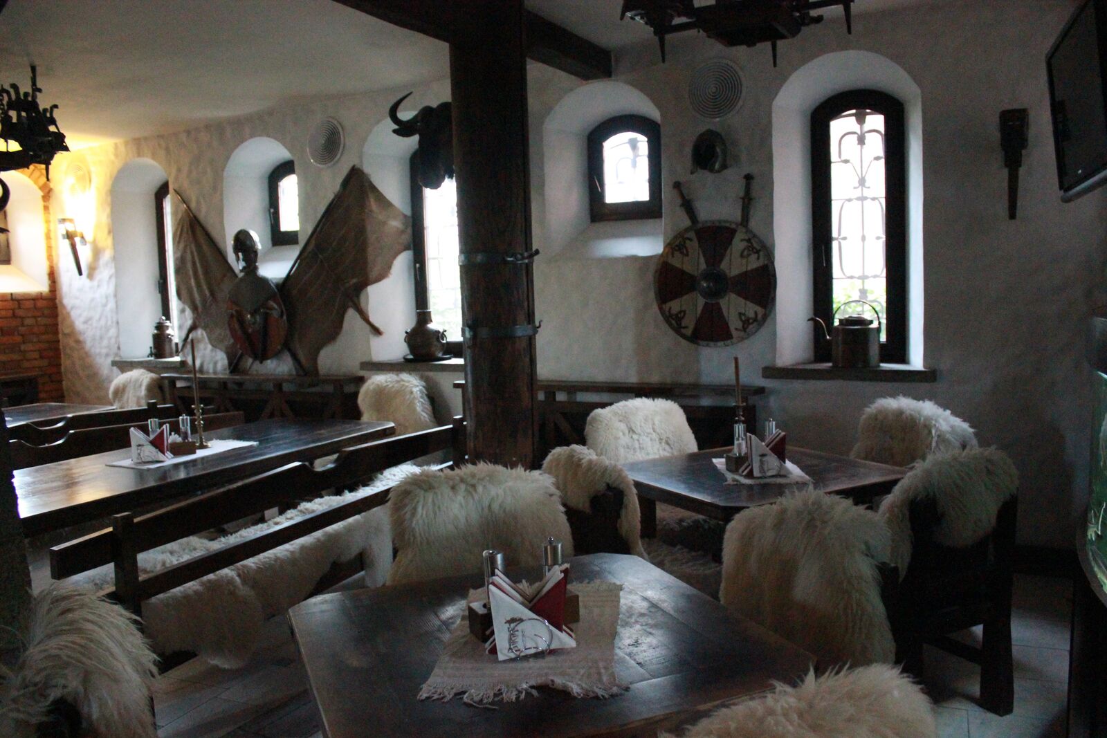 Viking image 10