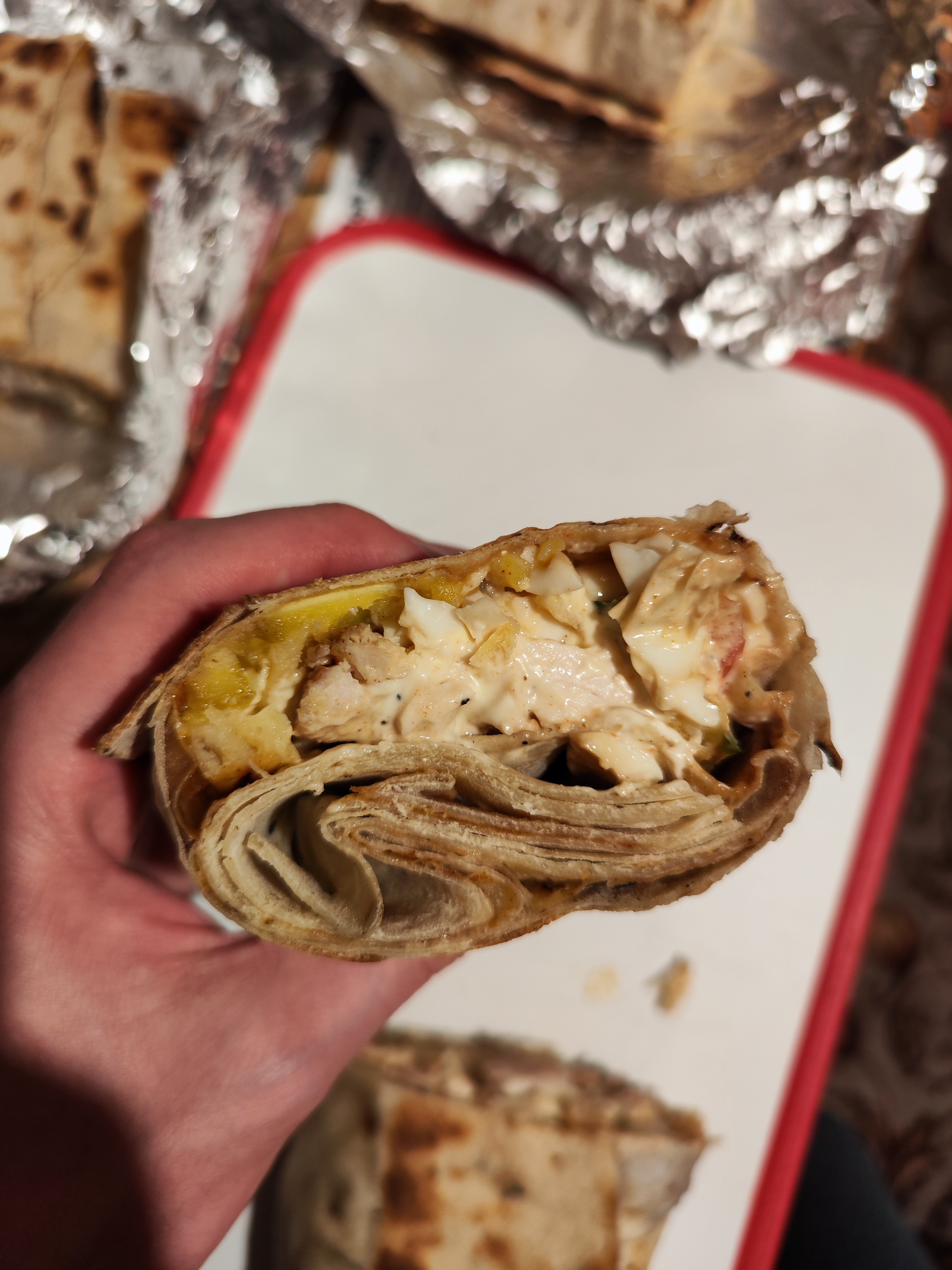 Ukrayinsʹkyy Lev image 2