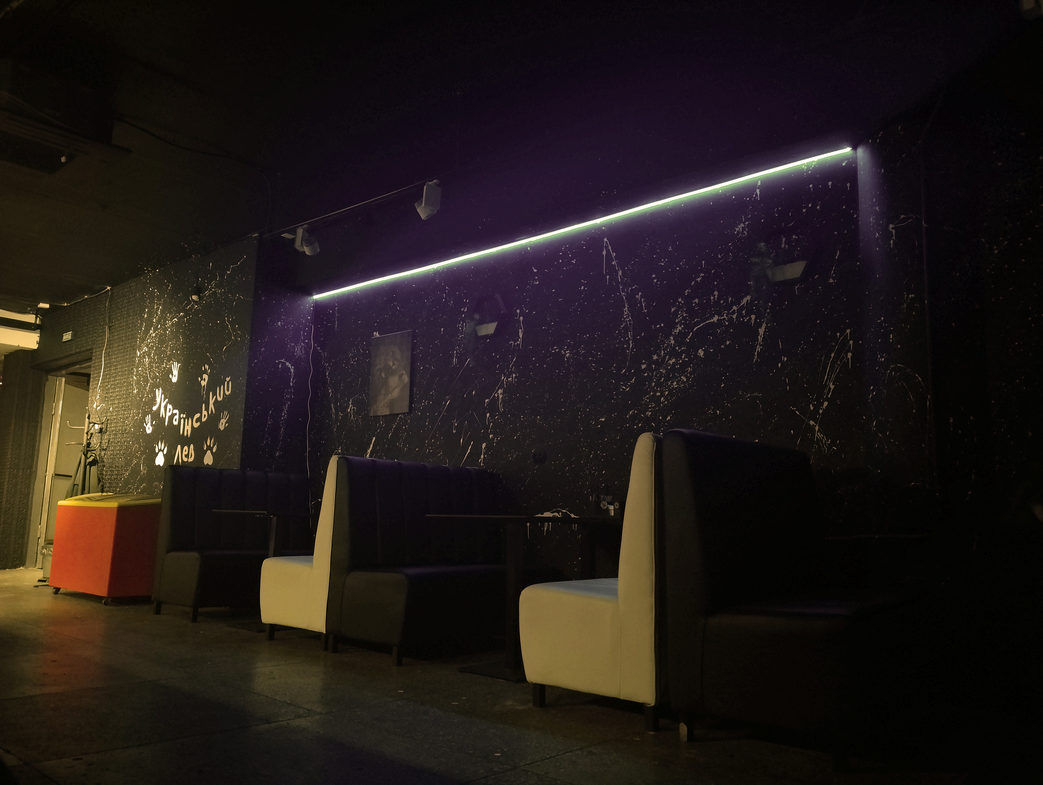 Ukrayinsʹkyy Lev image 3