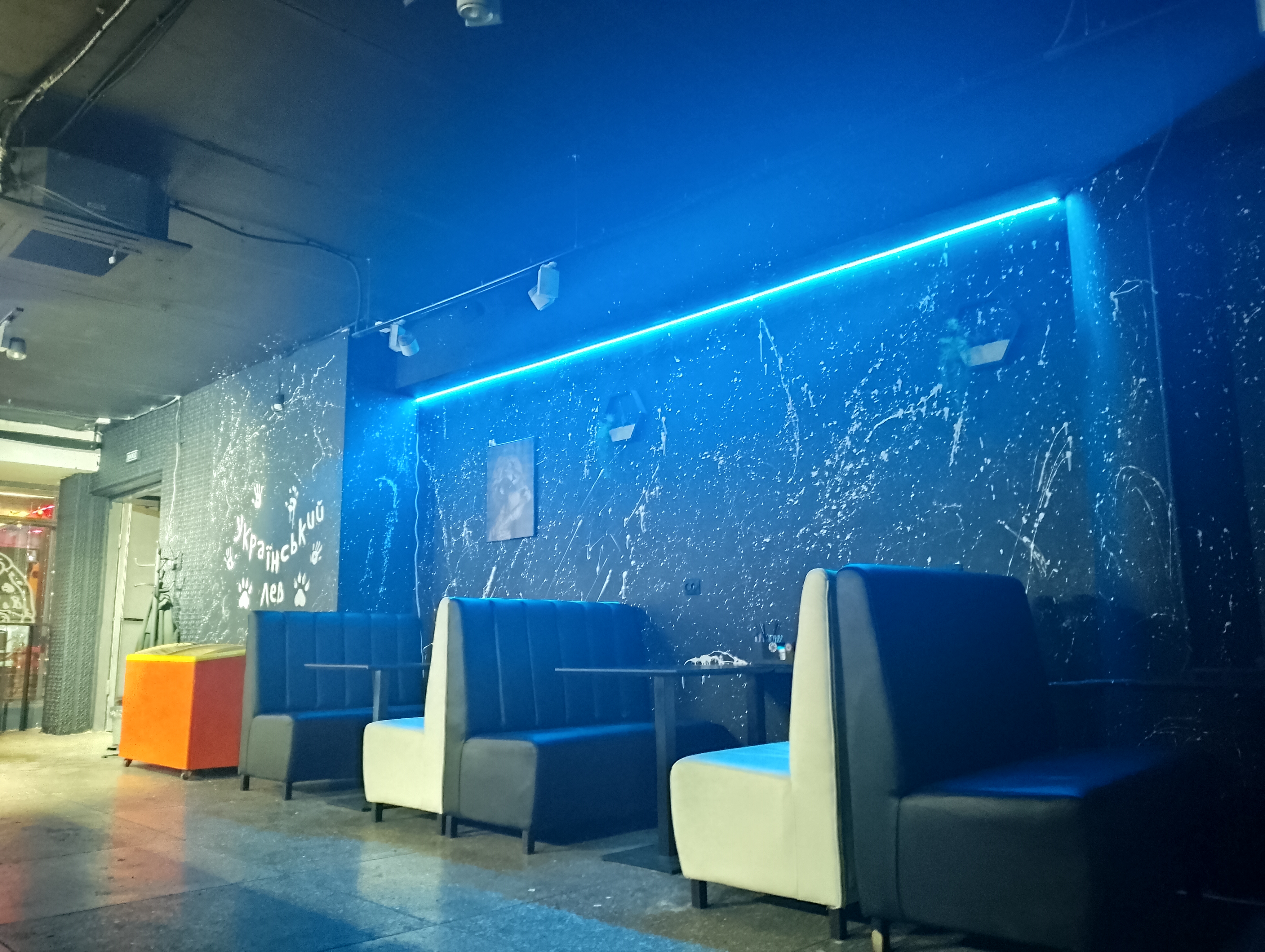 Ukrayinsʹkyy Lev image 4