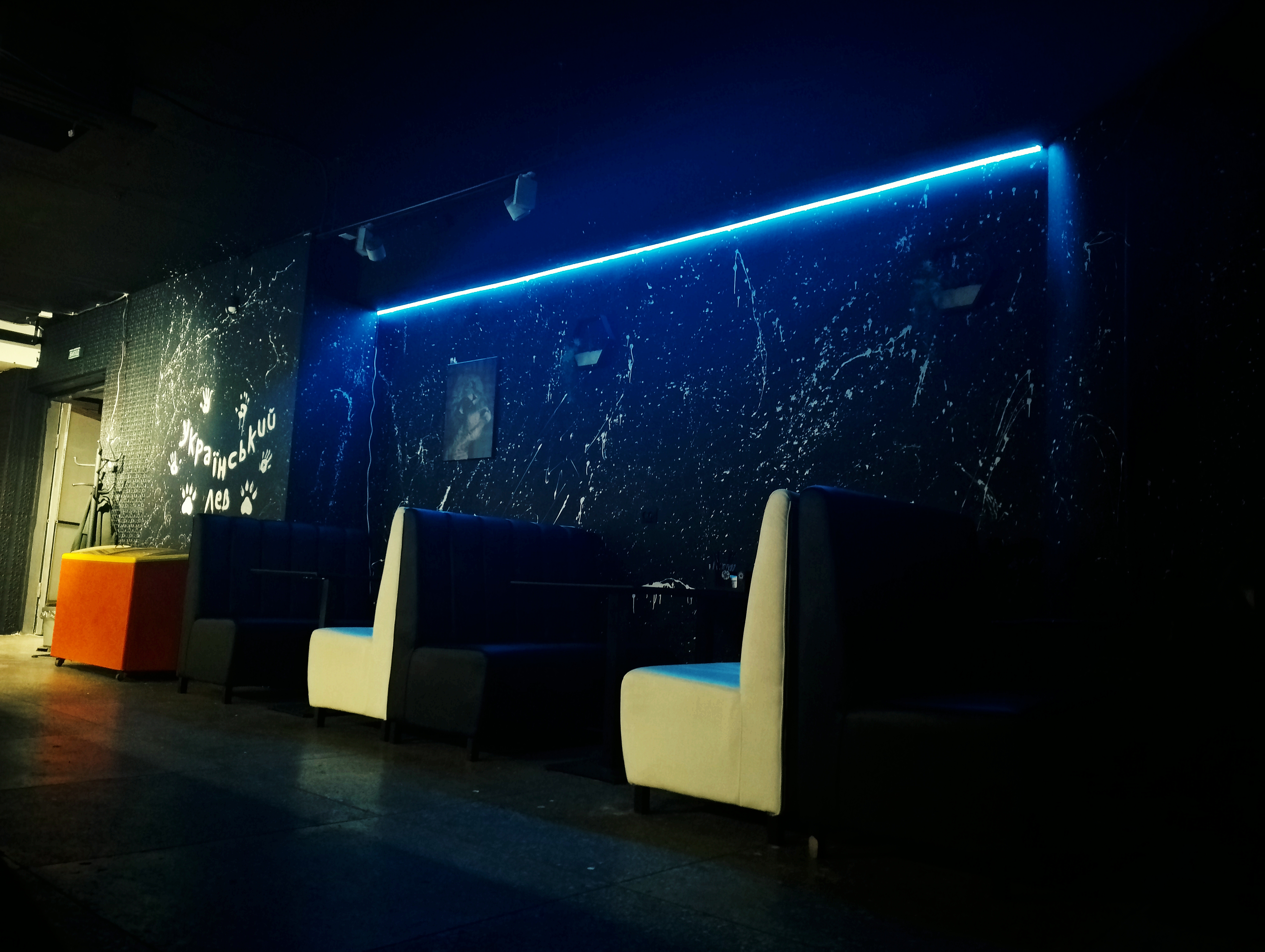 Ukrayinsʹkyy Lev image 5