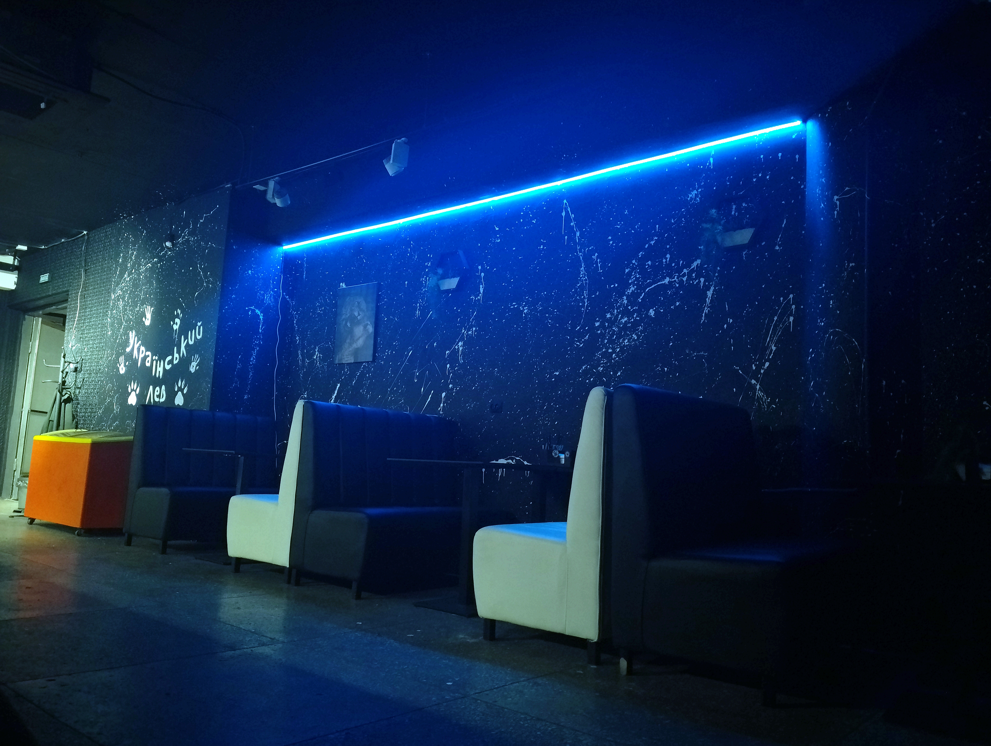 Ukrayinsʹkyy Lev image 6