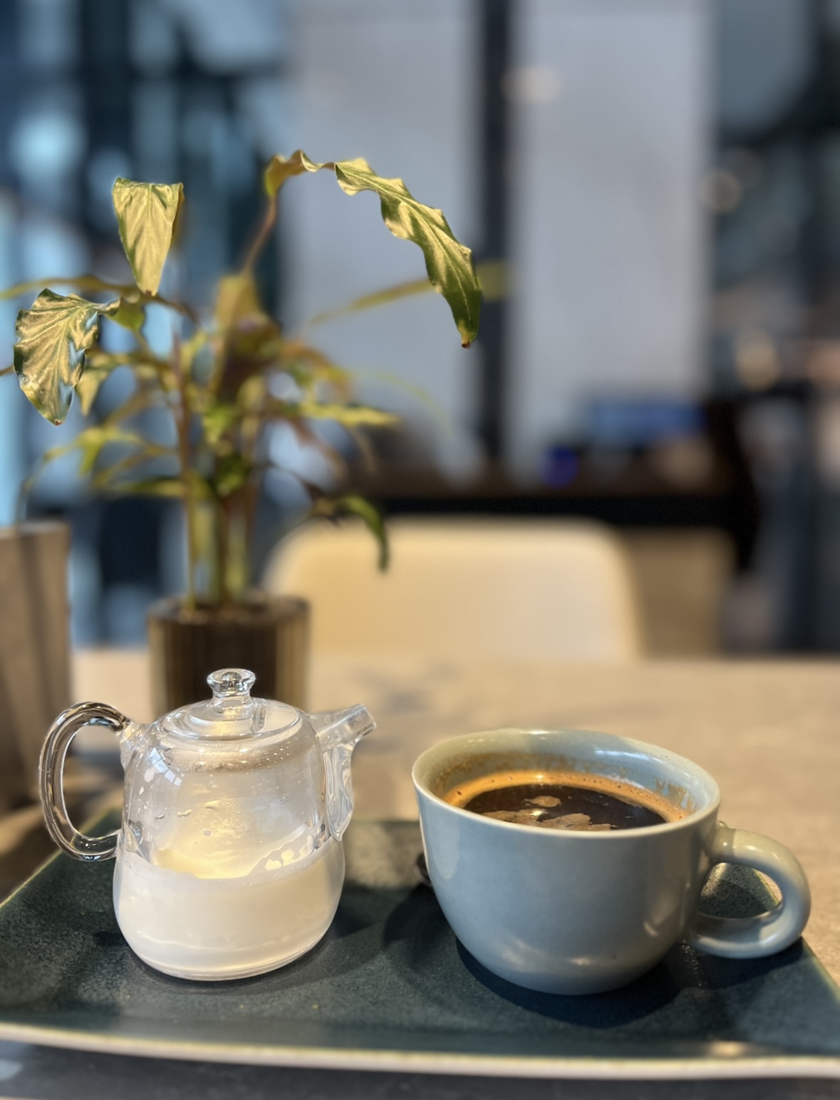 Mixes Gastrocafe image 6