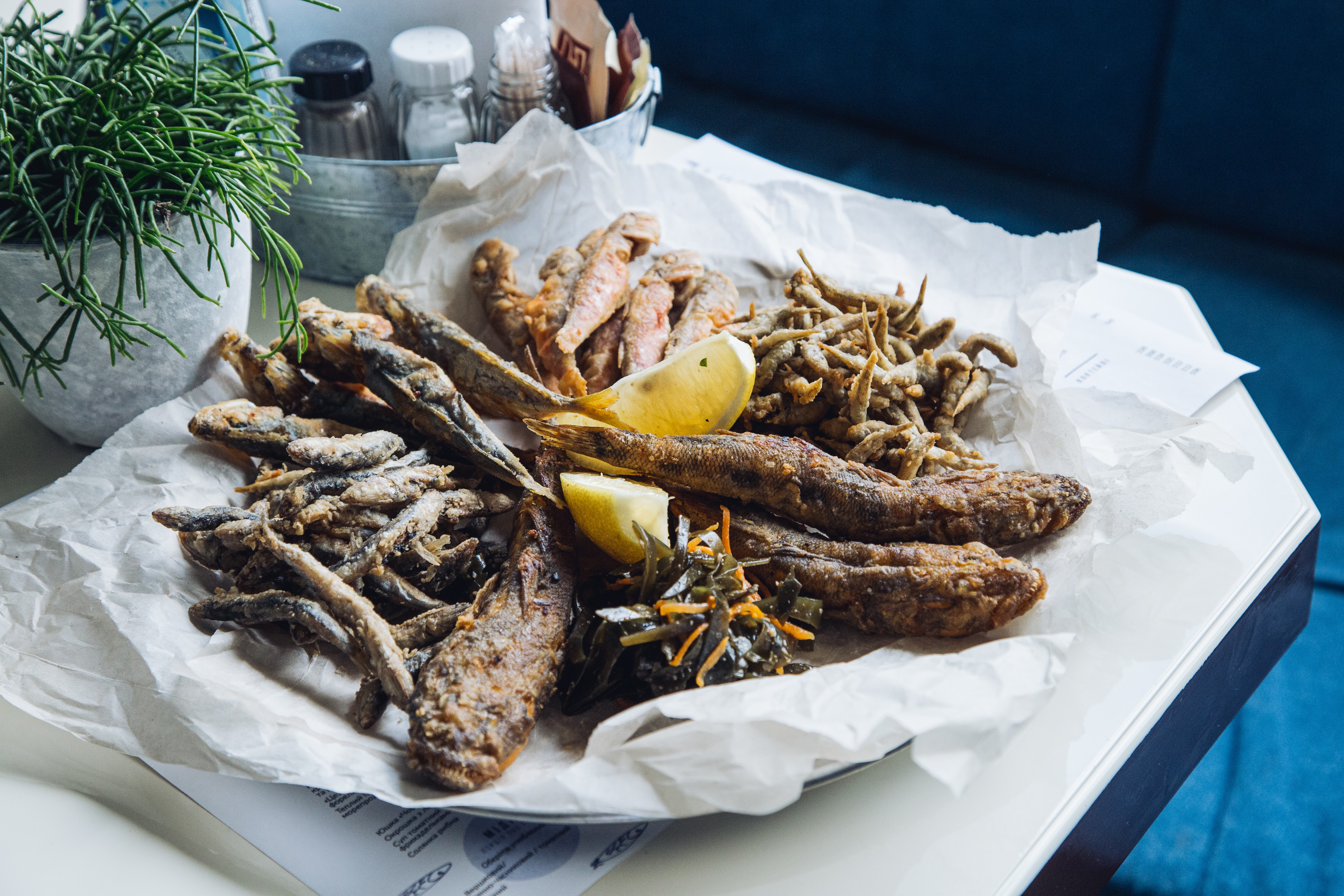 Анчоусна від Чорноморки image 2