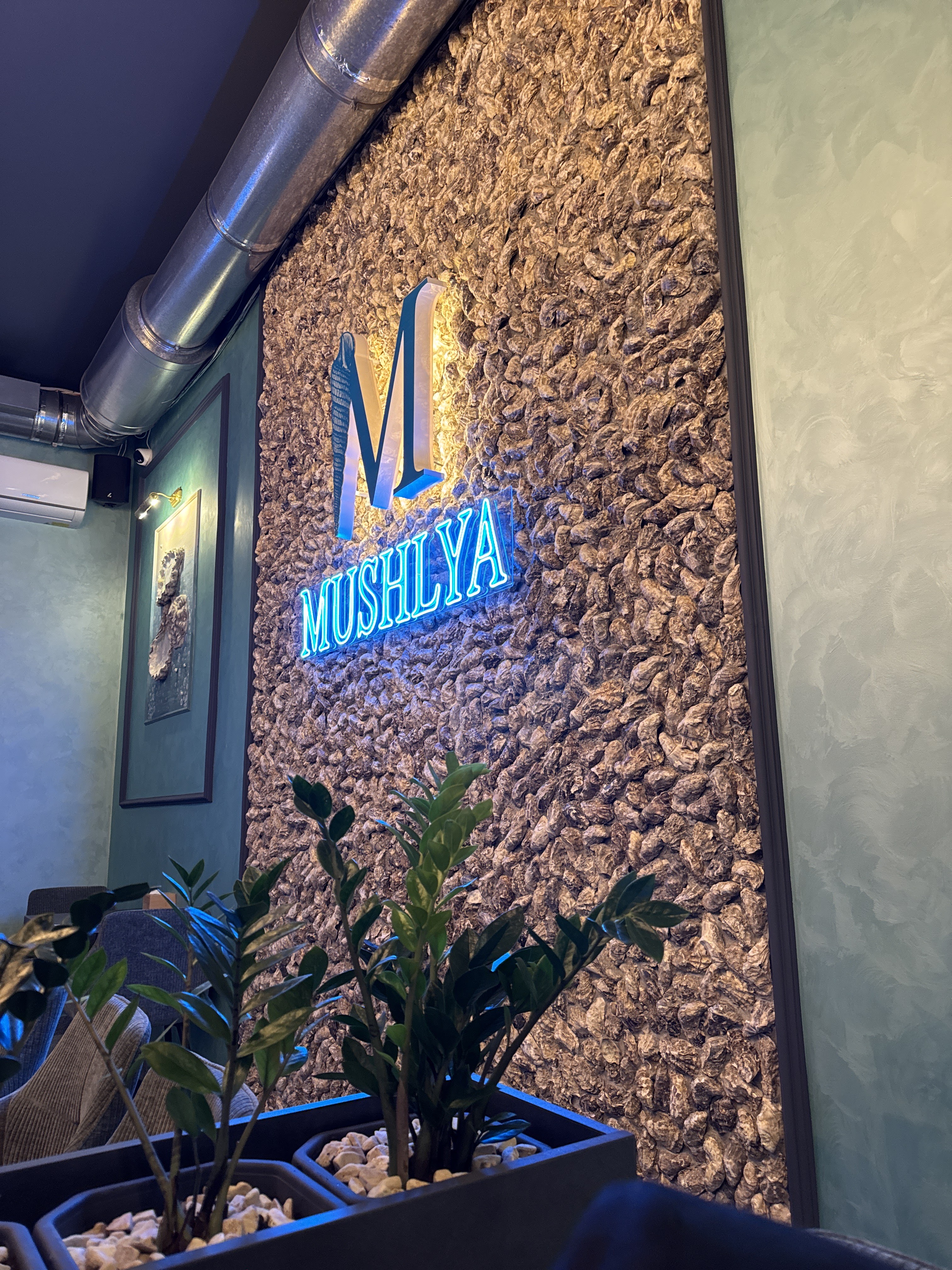 Mushlya / Мушля image 5