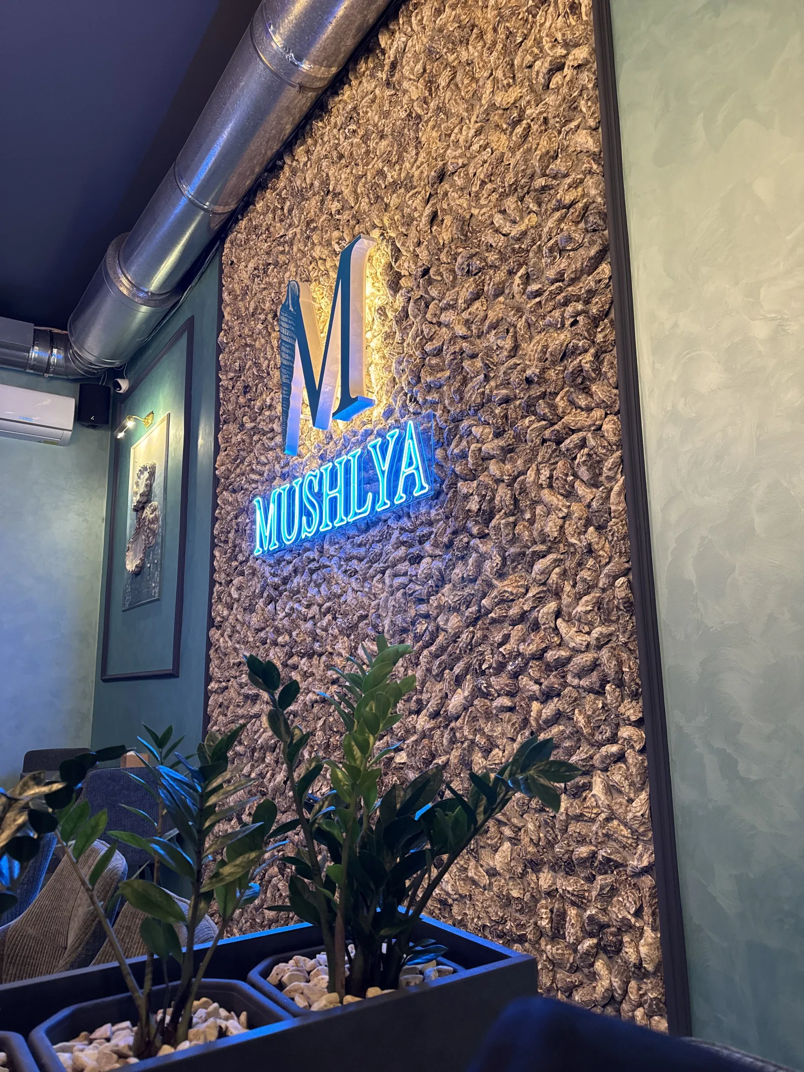 Mushlya / Мушля image 5
