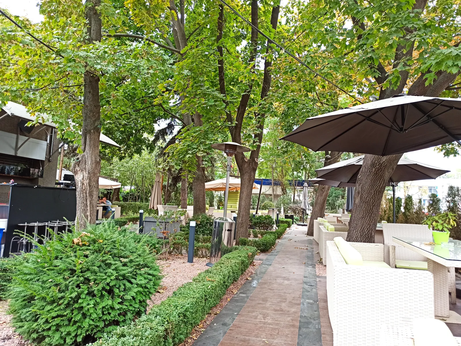 Garden image 6