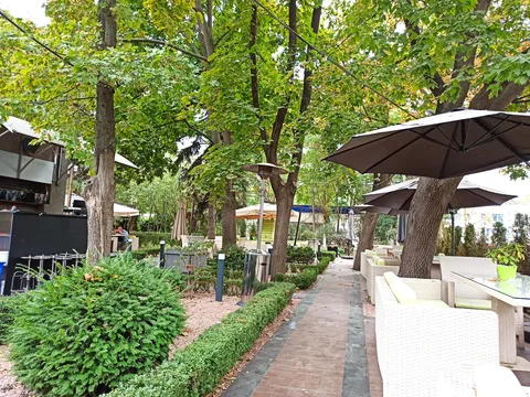 Garden image 6