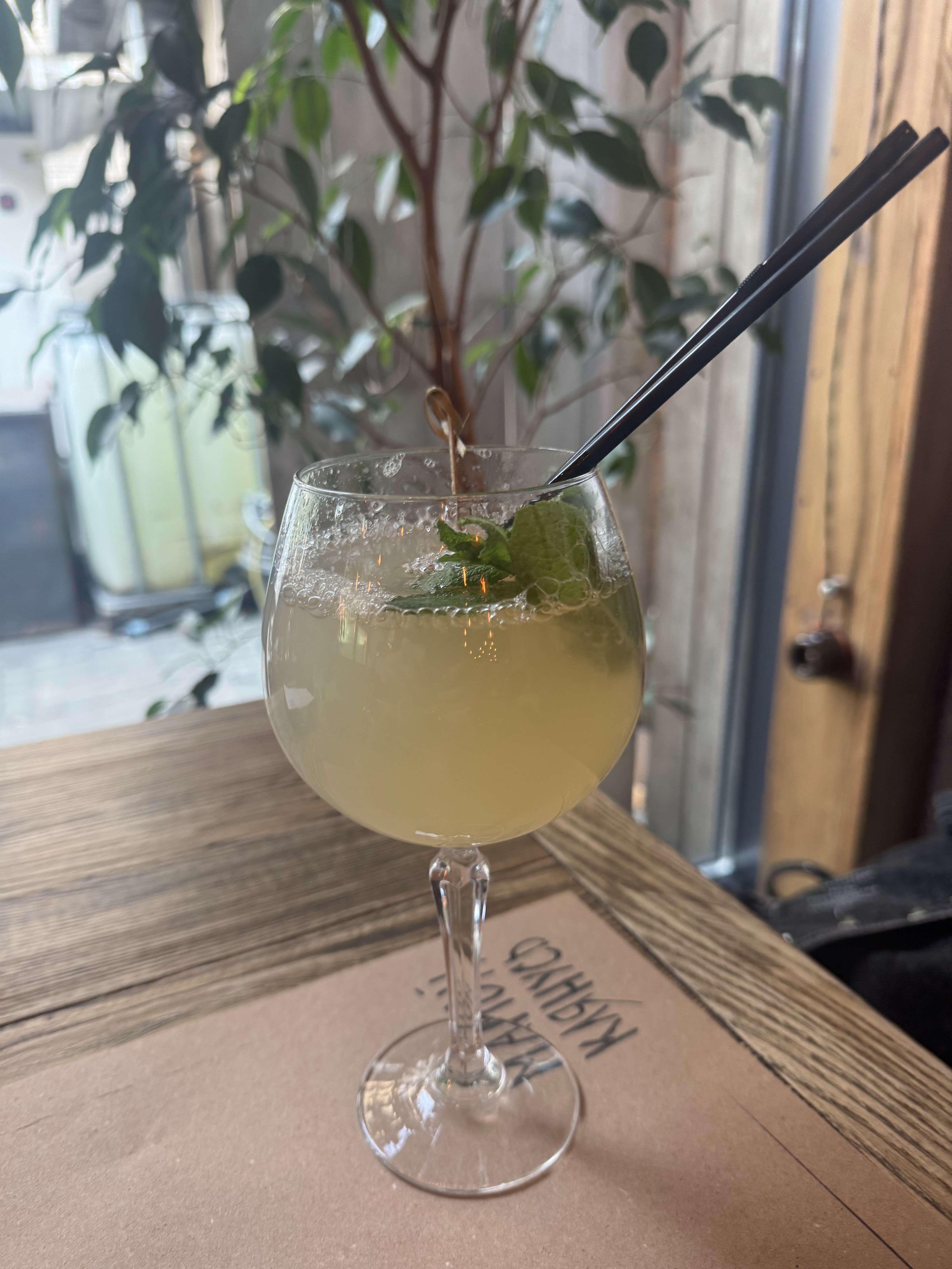 Mamoyu Klyanusʹ image 10