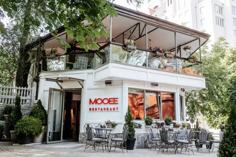 MOOEE image 1