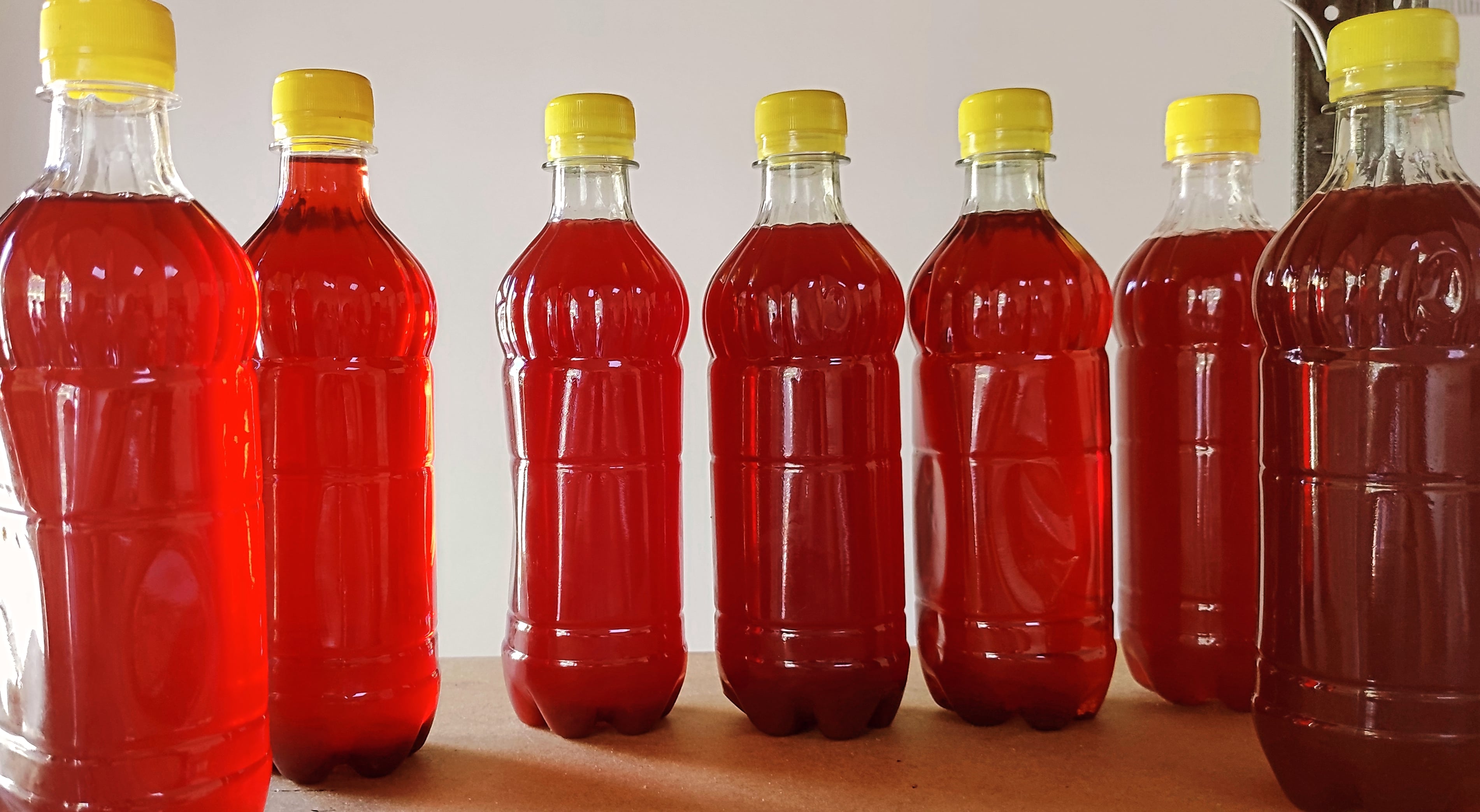 Кавказький шашлик image 1