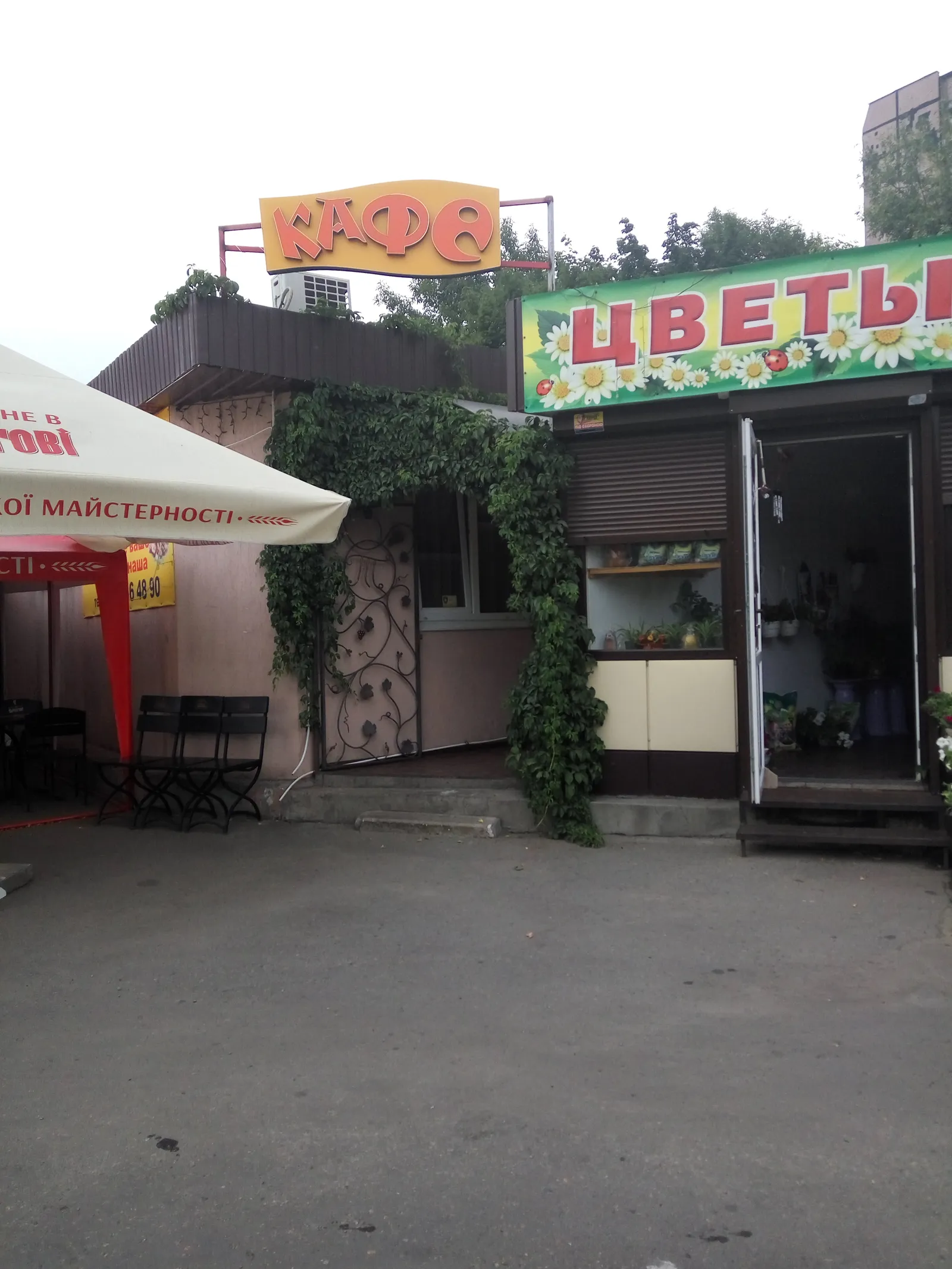 Tigran Cafe image 3