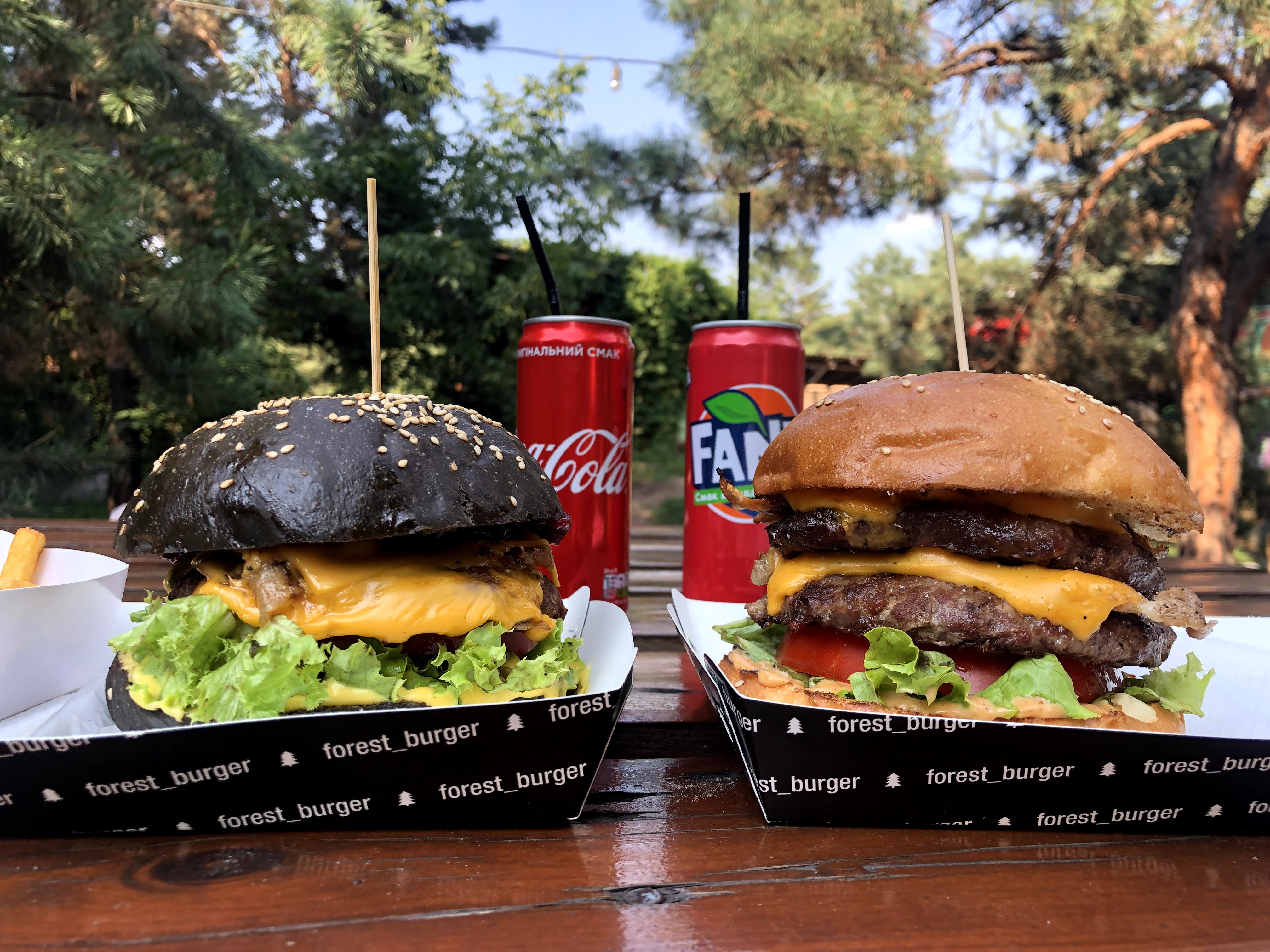 FOREST DoGGER image 3