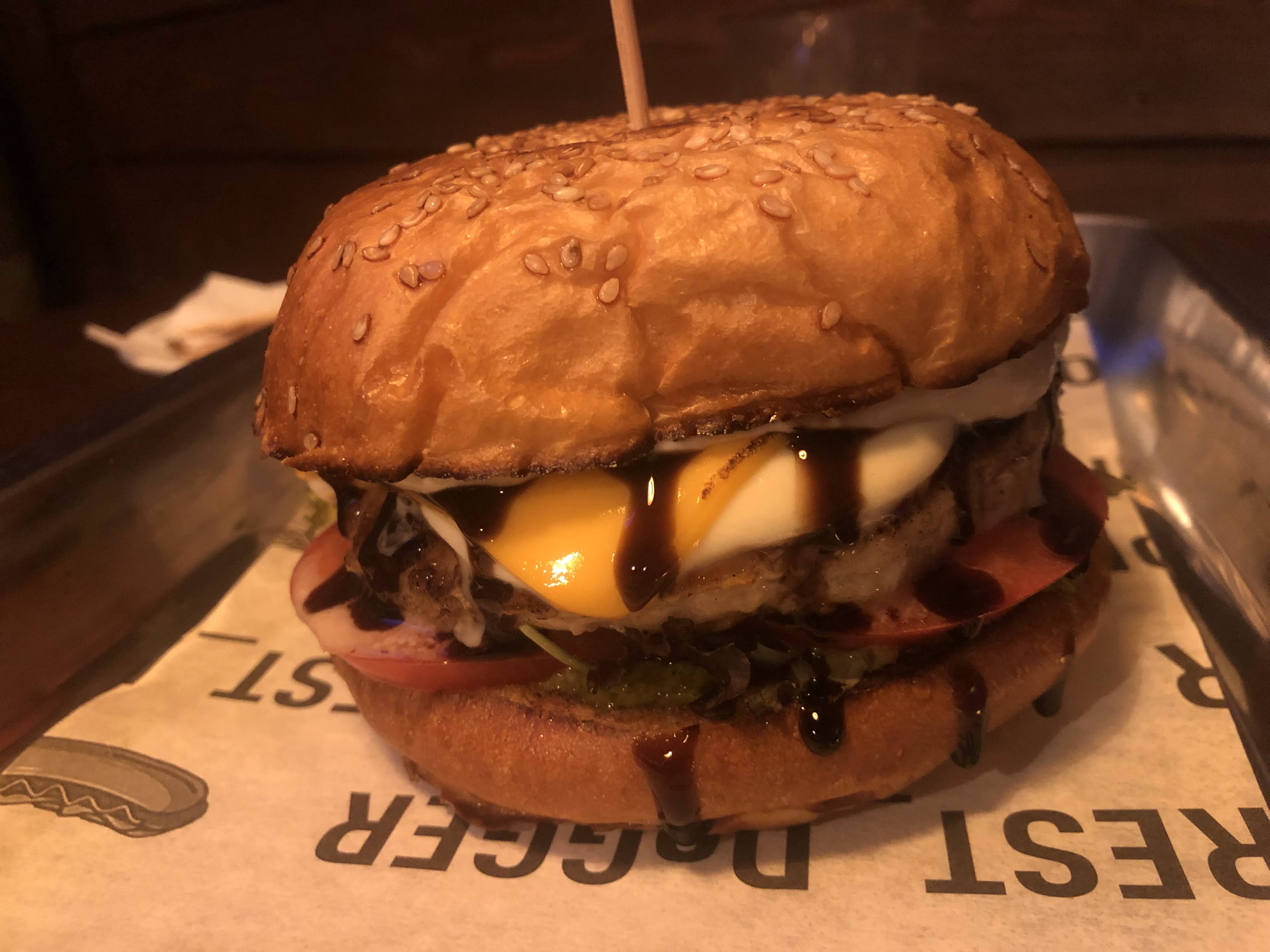 FOREST DoGGER image 6